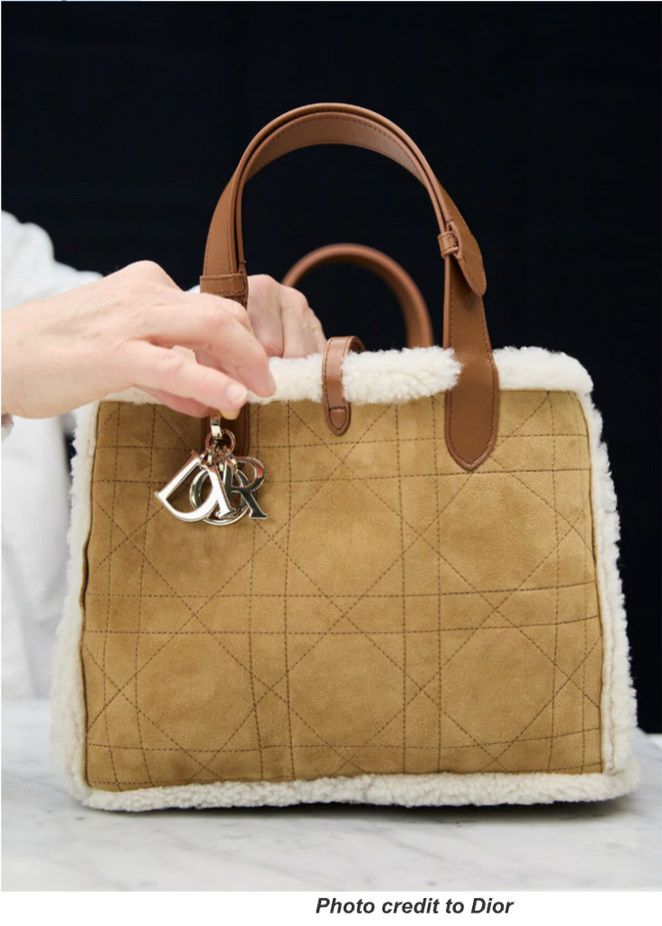 Winter Chic: A Luxury Bag Lover’s Guide to Seasonal Style and Care