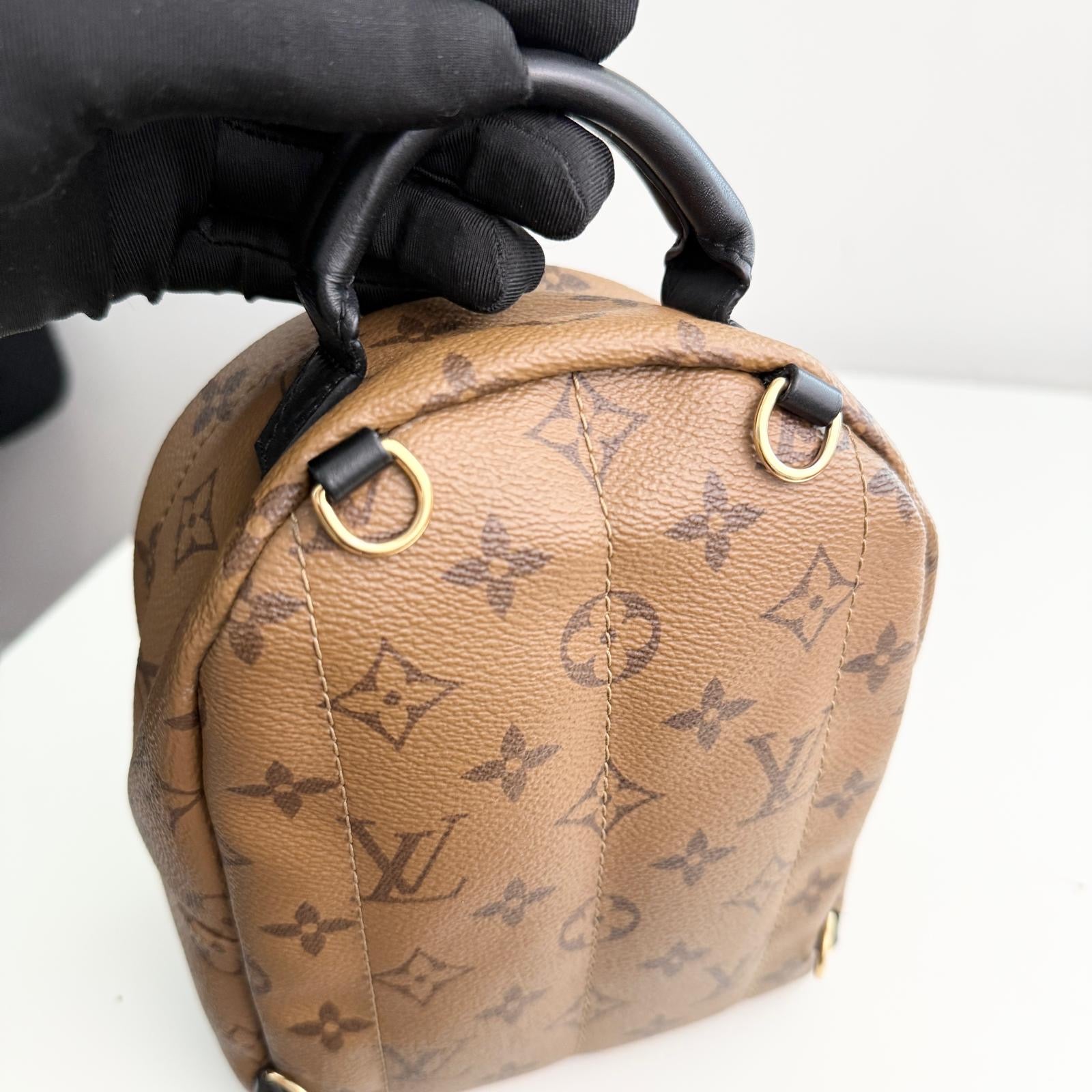 Louis Vuitton Palm Spring Backpack Mini Reverse Monogram