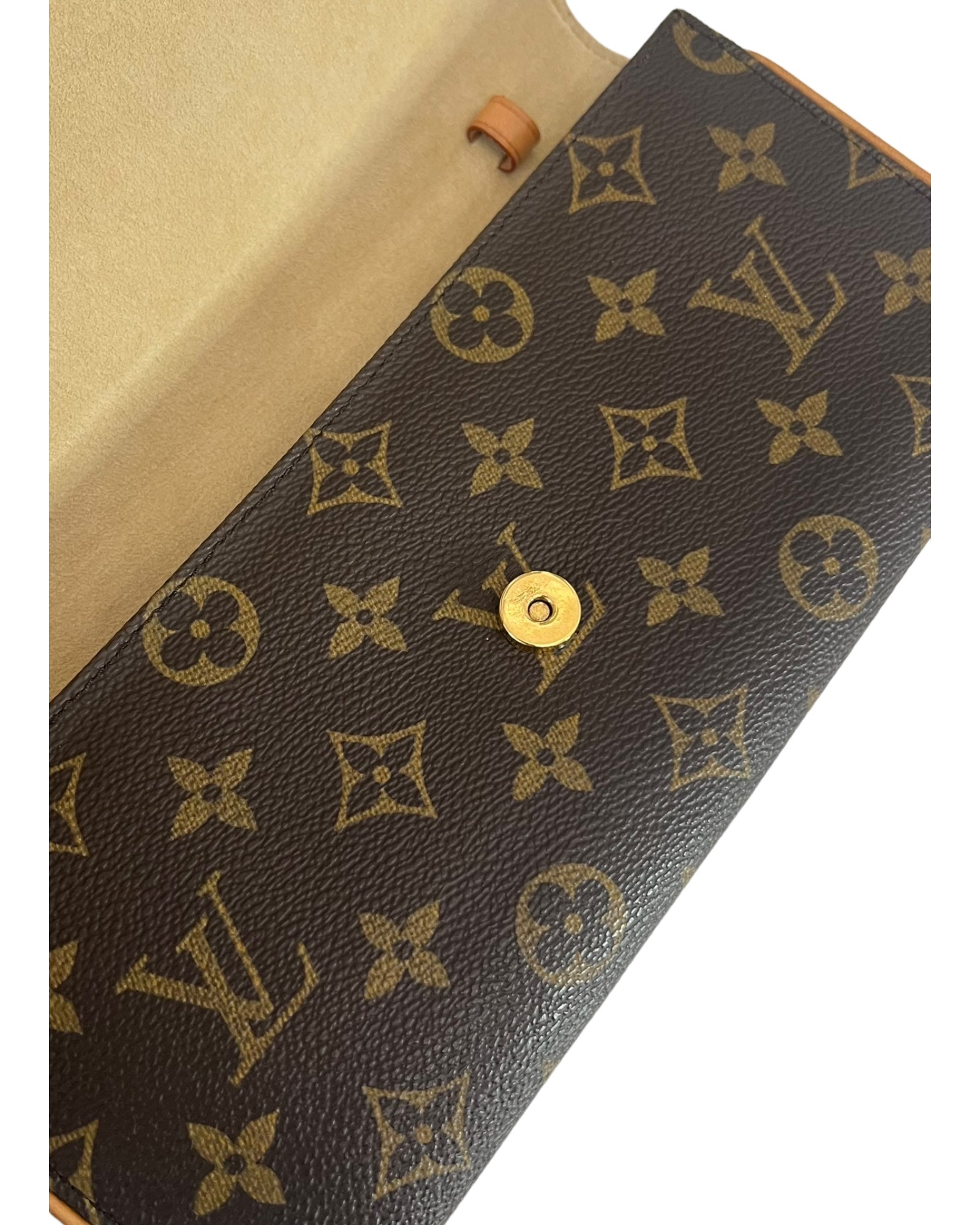 Louis Vuitton LV Twin Pochette