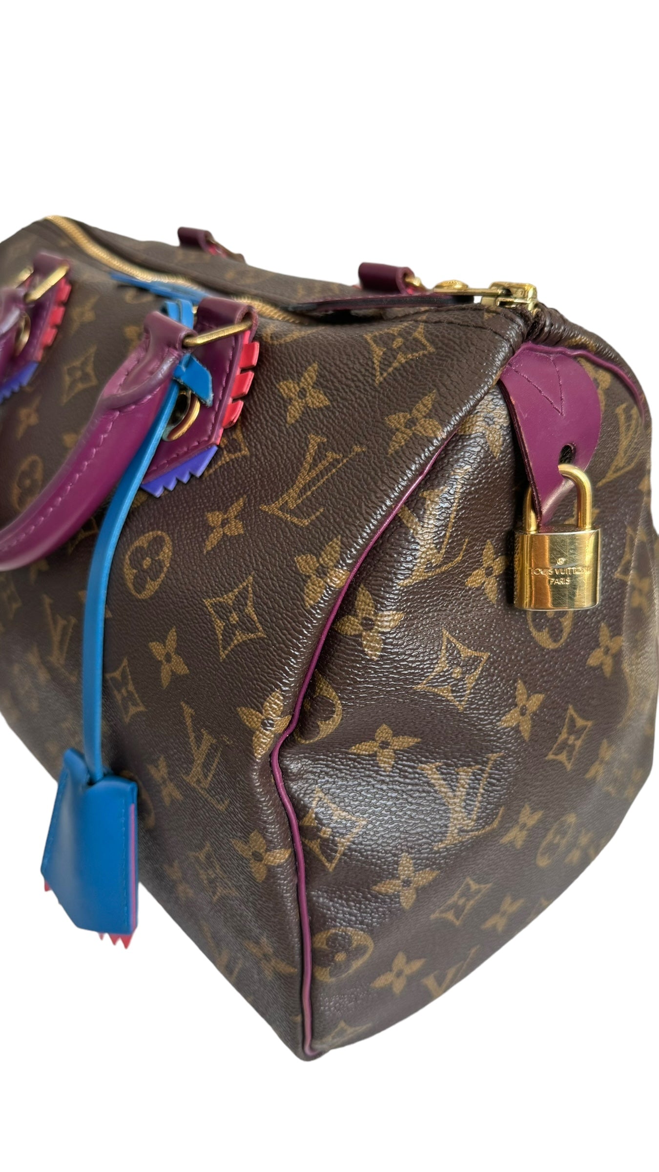 Louis Vuitton LV Speedy 30 Monogram Totem Collection