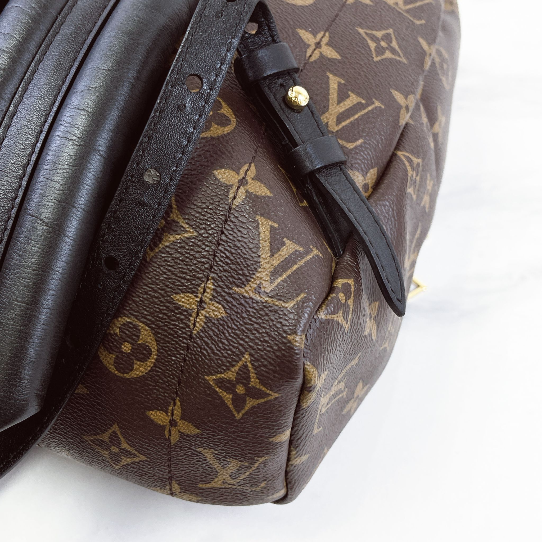 Louis Vuitton Palm Spring MM Monogram Backpack