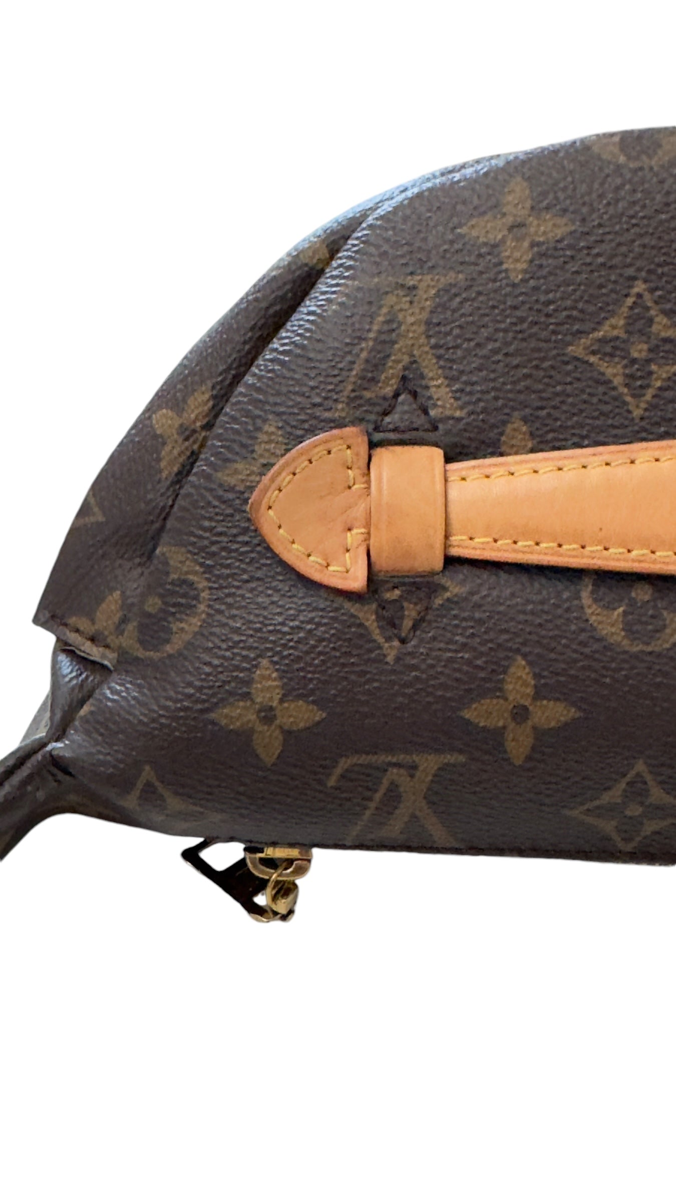 Louis Vuitton Monogram Bumbag