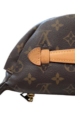 Load image into Gallery viewer, Louis Vuitton Monogram Bumbag
