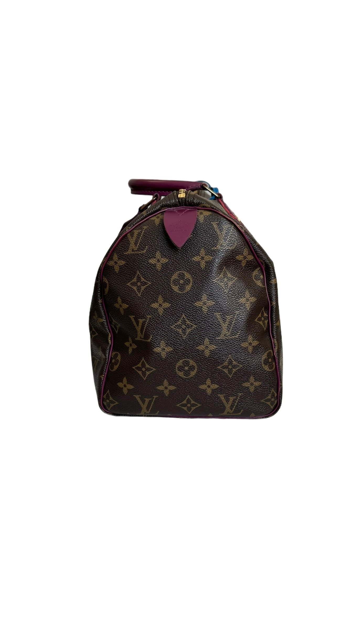 Louis Vuitton LV Speedy 30 Monogram Totem Collection