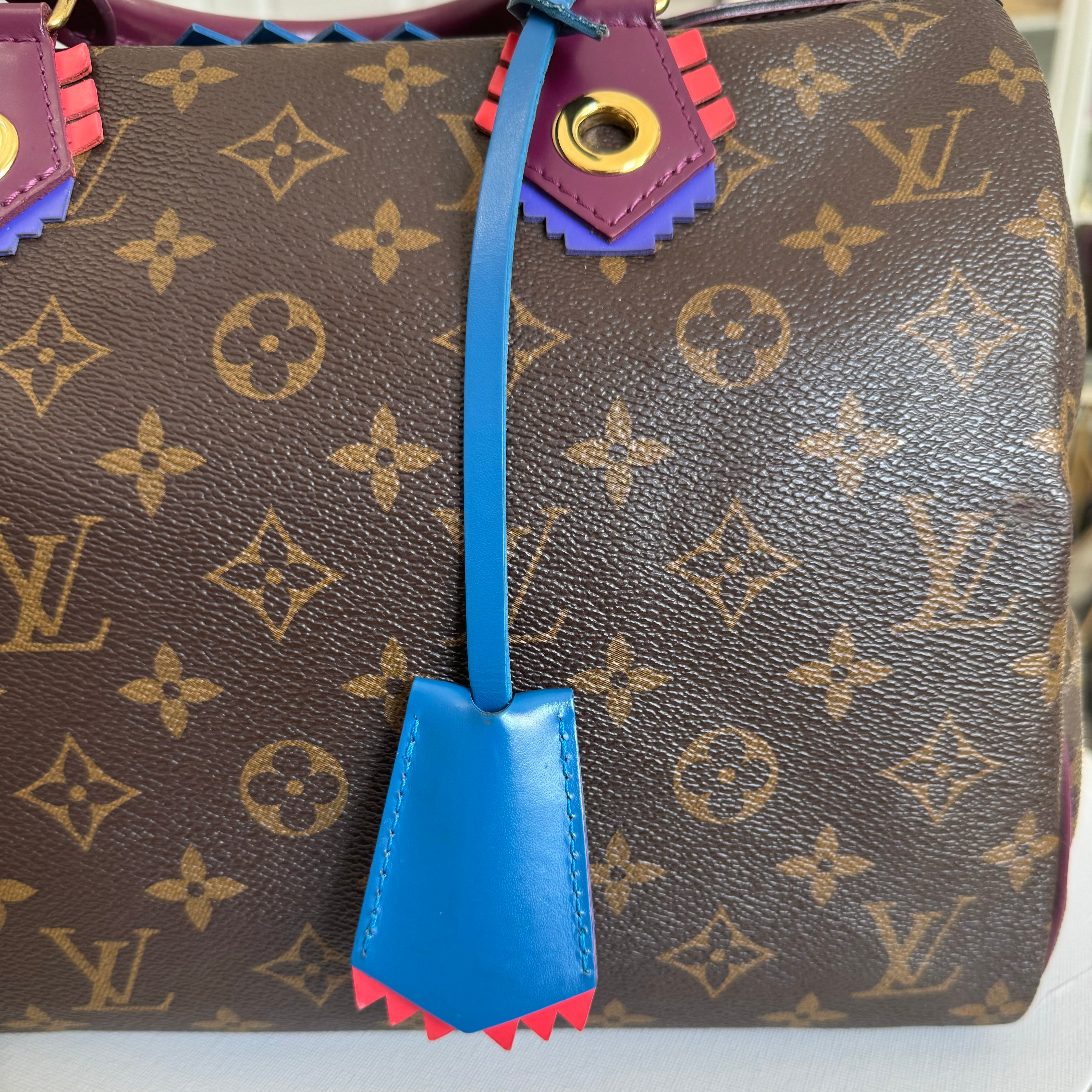 Louis Vuitton LV Speedy 30 Monogram Totem Collection