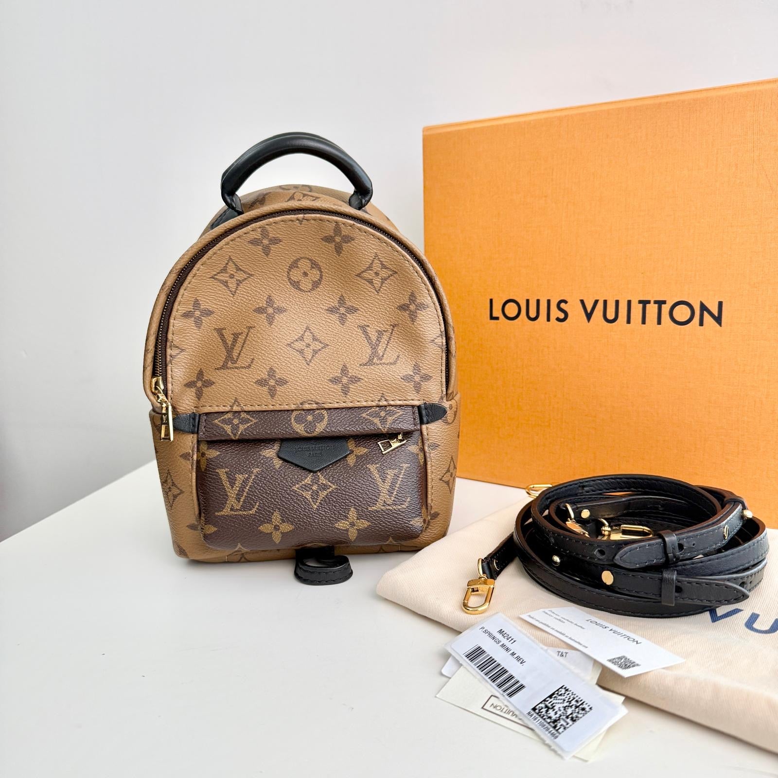 Louis Vuitton Palm Spring Backpack Mini Reverse Monogram