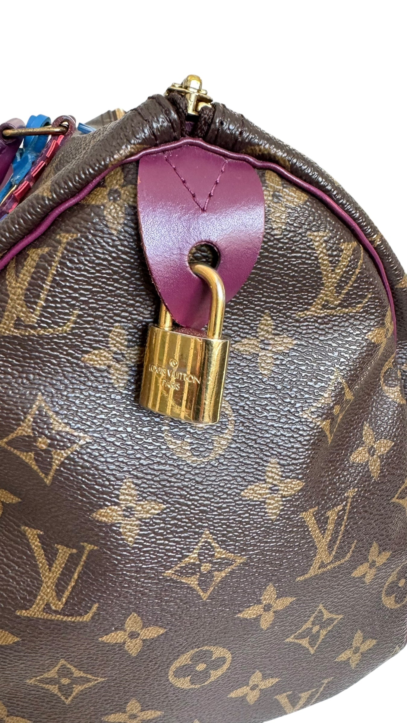 Louis Vuitton LV Speedy 30 Monogram Totem Collection