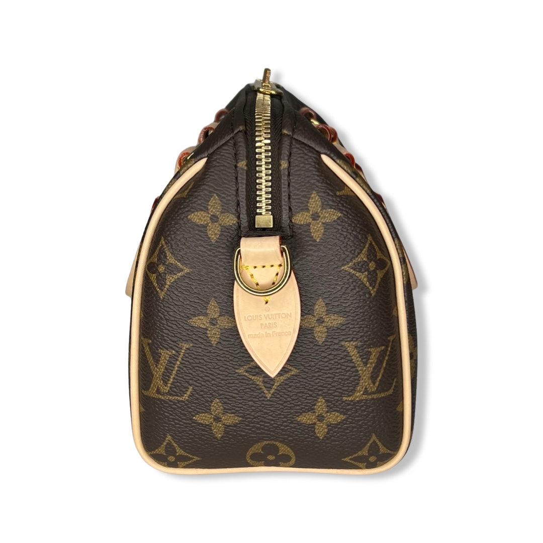 Louis vuitton speedy 20 bandouliere