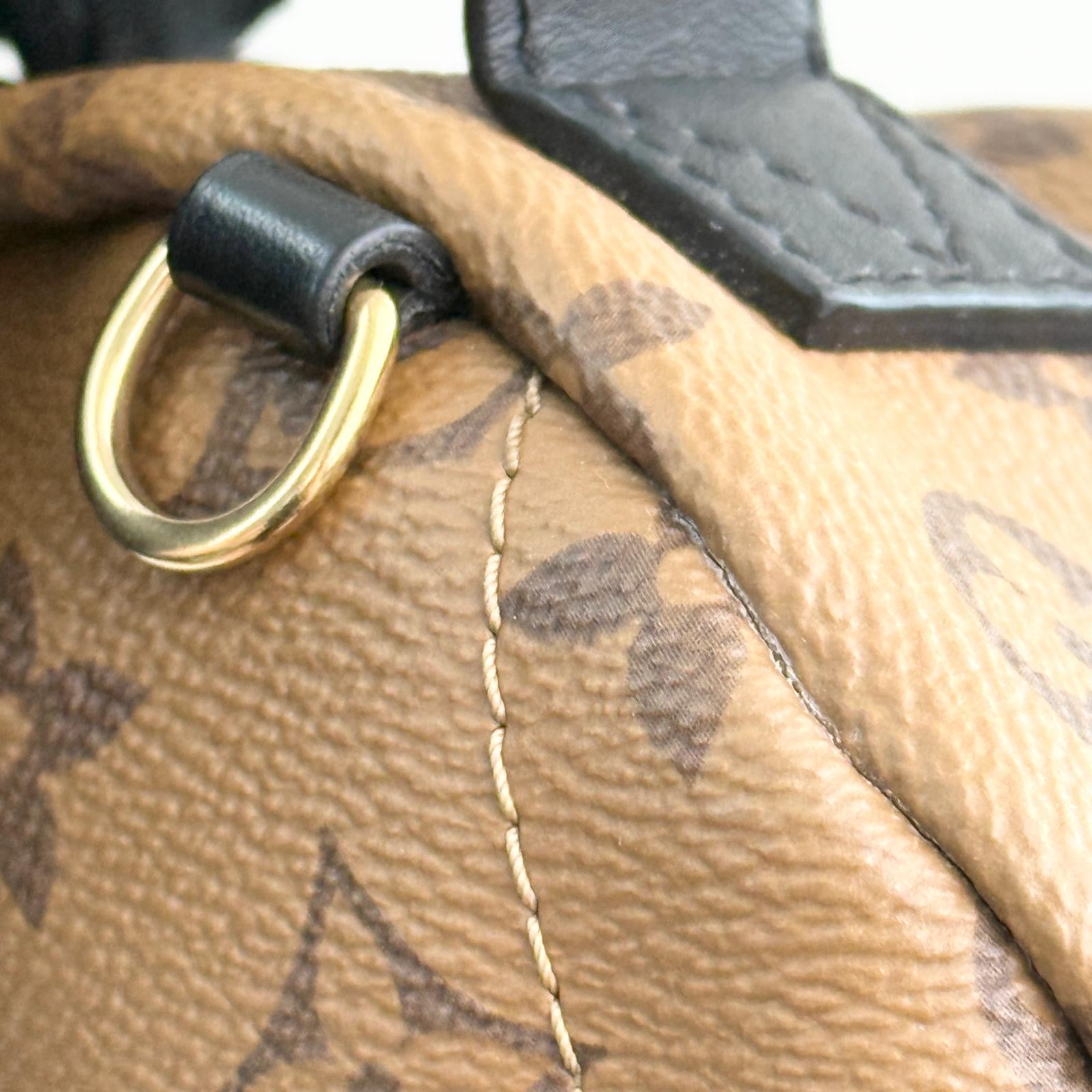 Louis Vuitton Palm Spring Backpack Mini Reverse Monogram