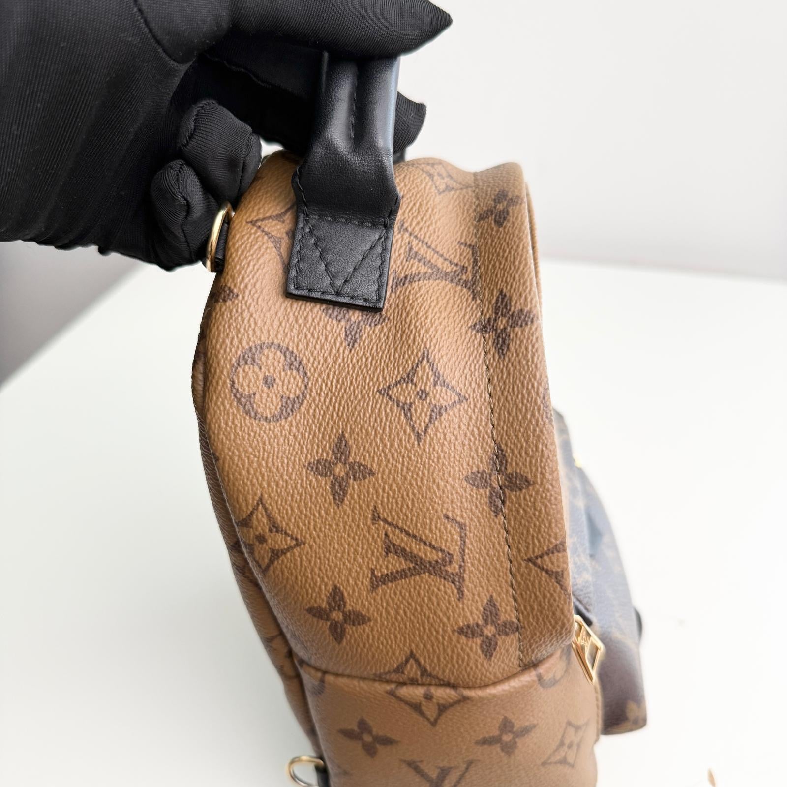 Louis Vuitton Palm Spring Backpack Mini Reverse Monogram