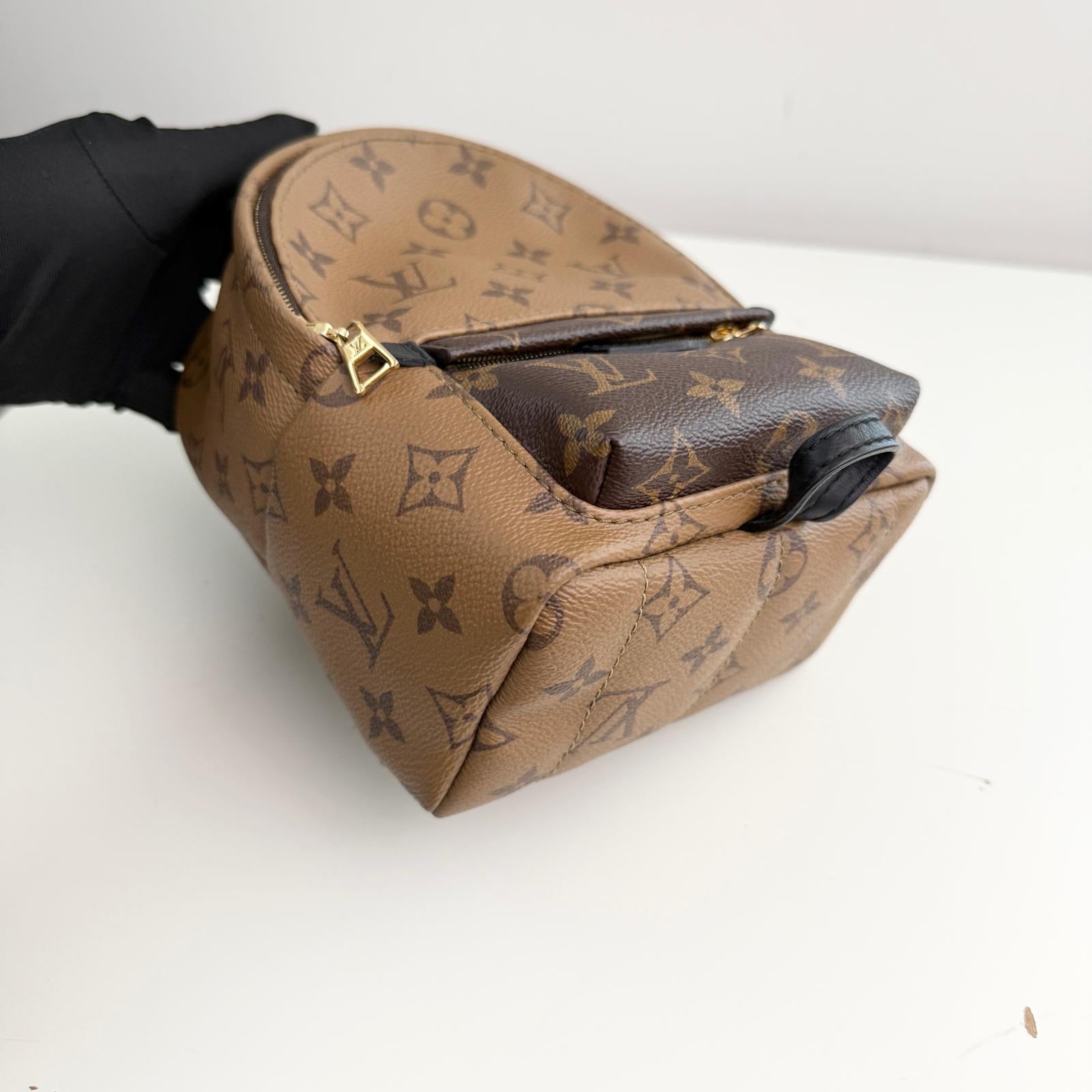 Louis Vuitton Palm Spring Backpack Mini Reverse Monogram