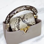 Load image into Gallery viewer, Louis Vuitton Capucine Mini
