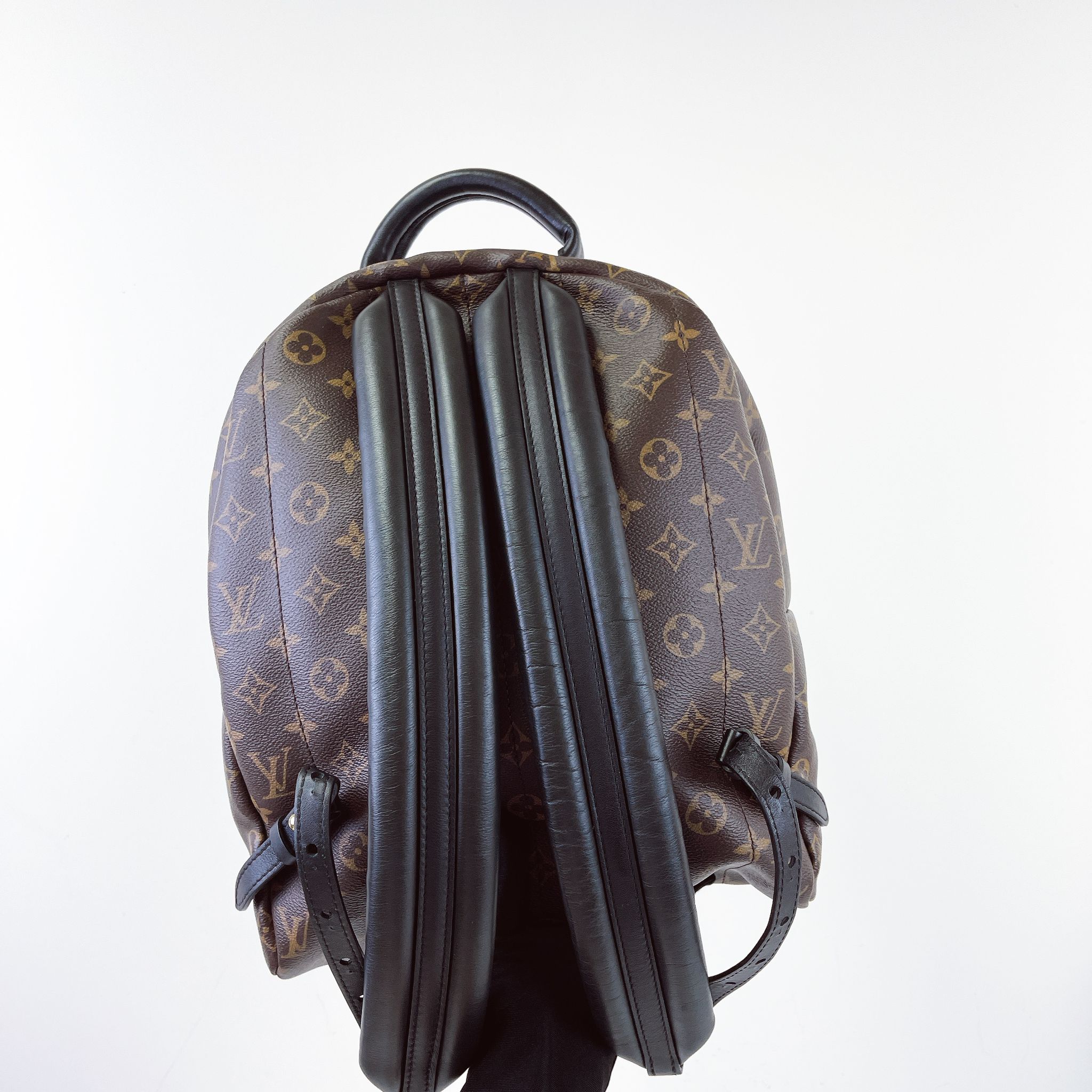 Louis Vuitton Palm Spring MM Monogram Backpack