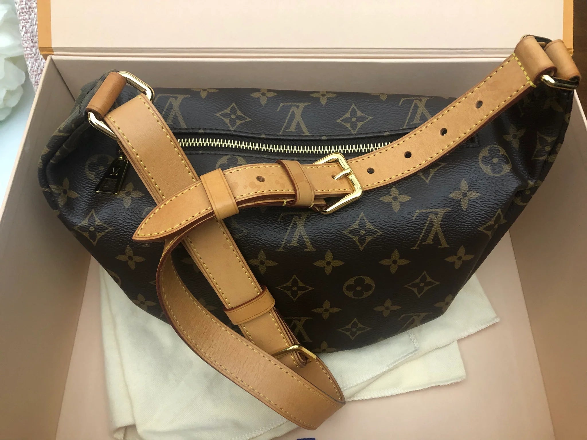 Louis Vuitton Monogram Bumbag