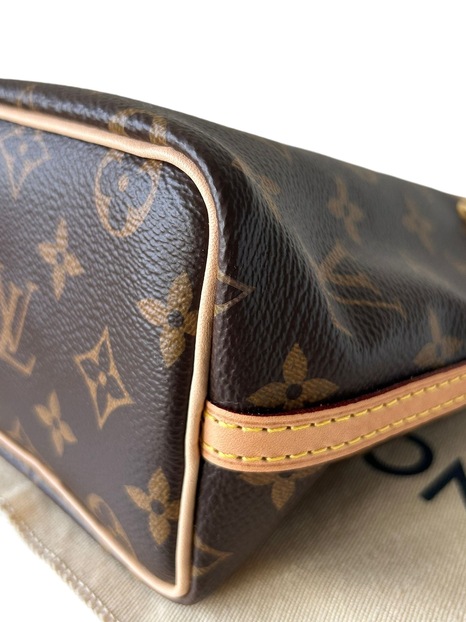 Louis Vuitton LV Nano Noé Monogram