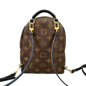 Louis Vuitton LV Palm Springs Mini