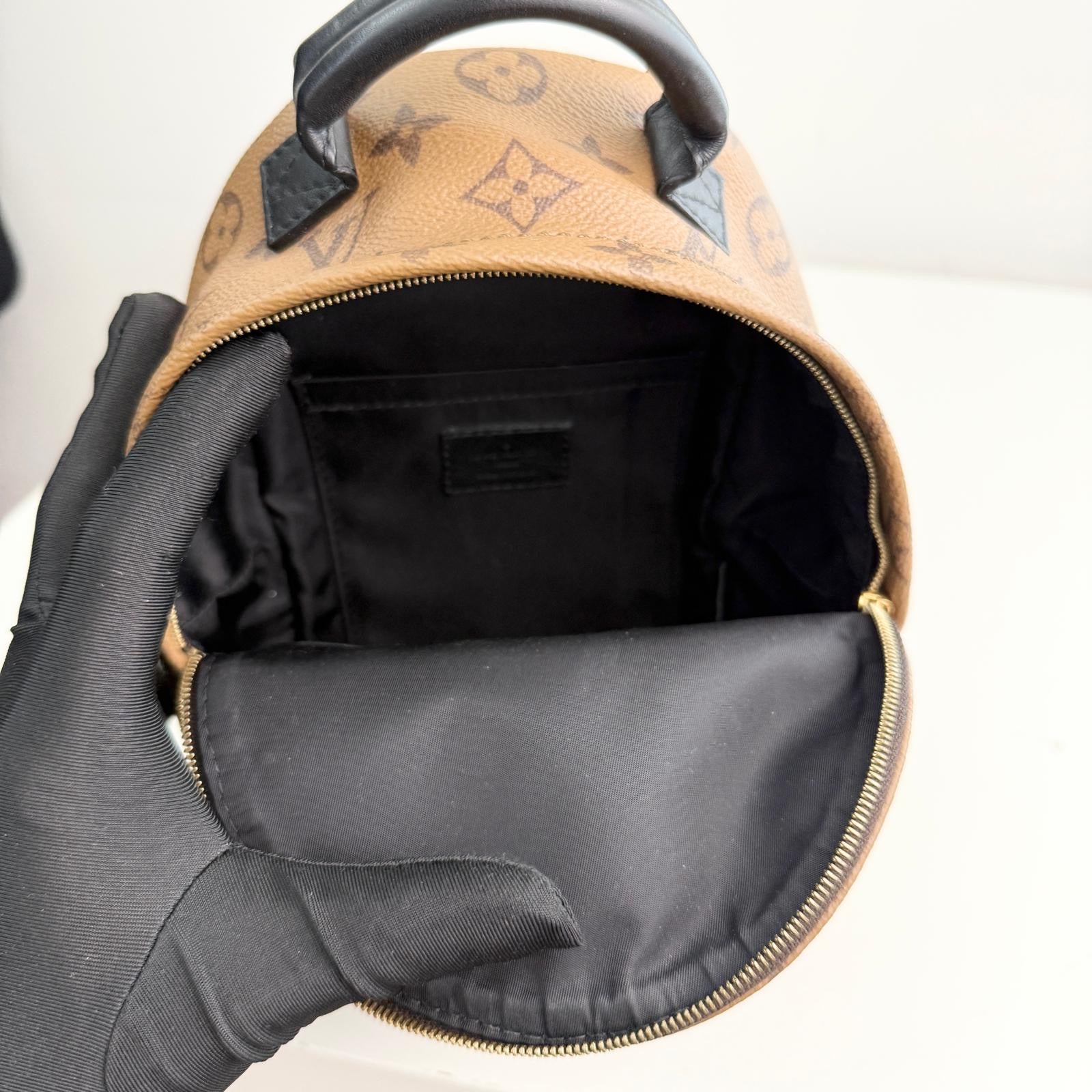 Louis Vuitton Palm Spring Backpack Mini Reverse Monogram