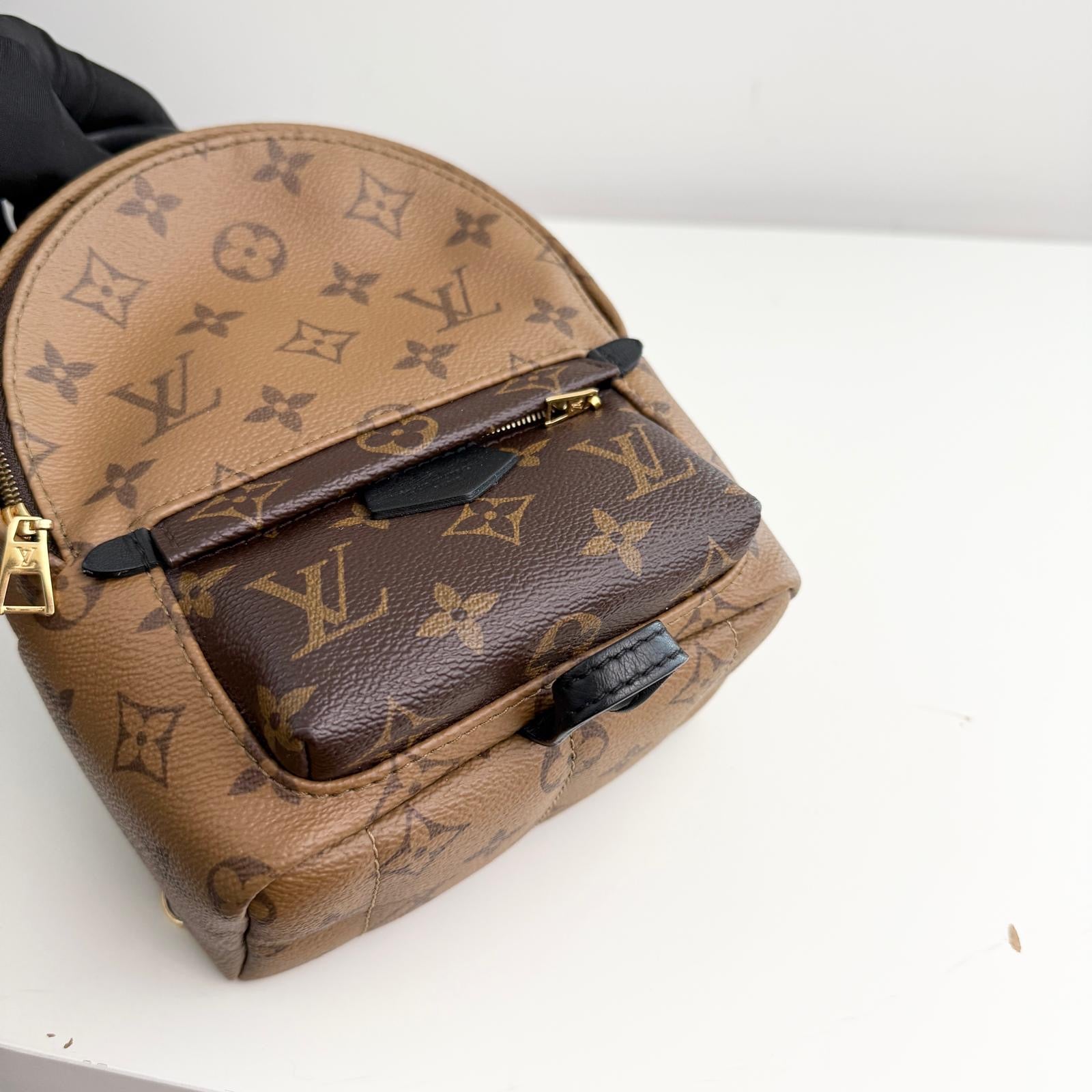 Louis Vuitton Palm Spring Backpack Mini Reverse Monogram