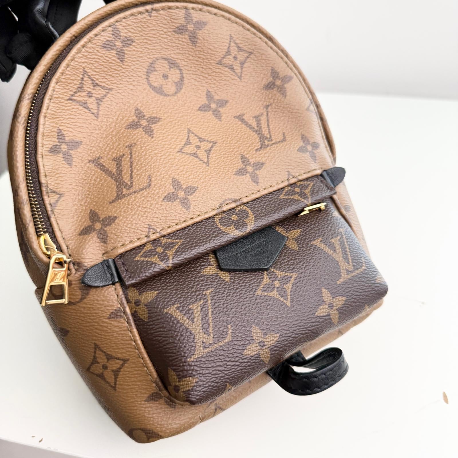 Louis Vuitton Palm Spring Backpack Mini Reverse Monogram
