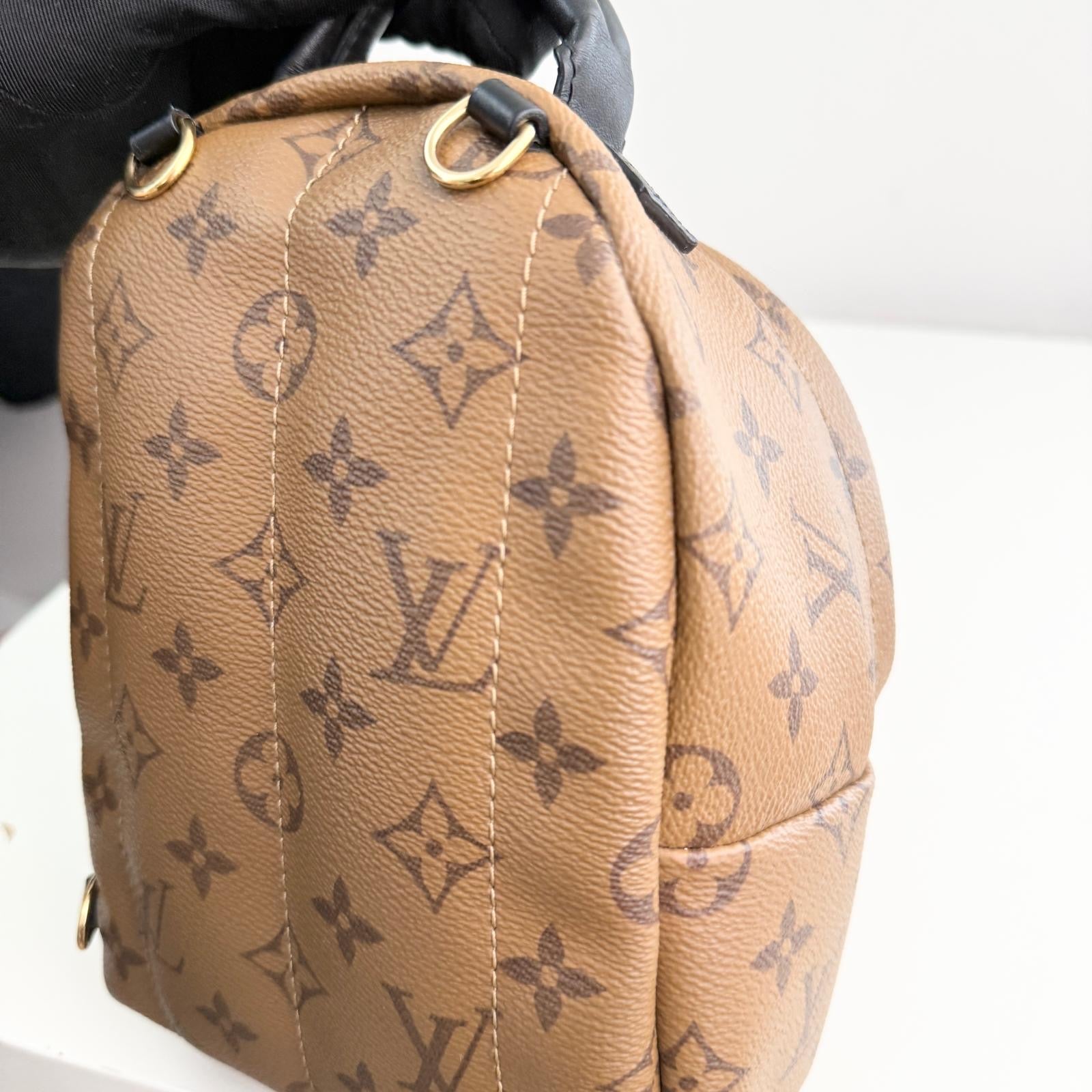 Louis Vuitton Palm Spring Backpack Mini Reverse Monogram