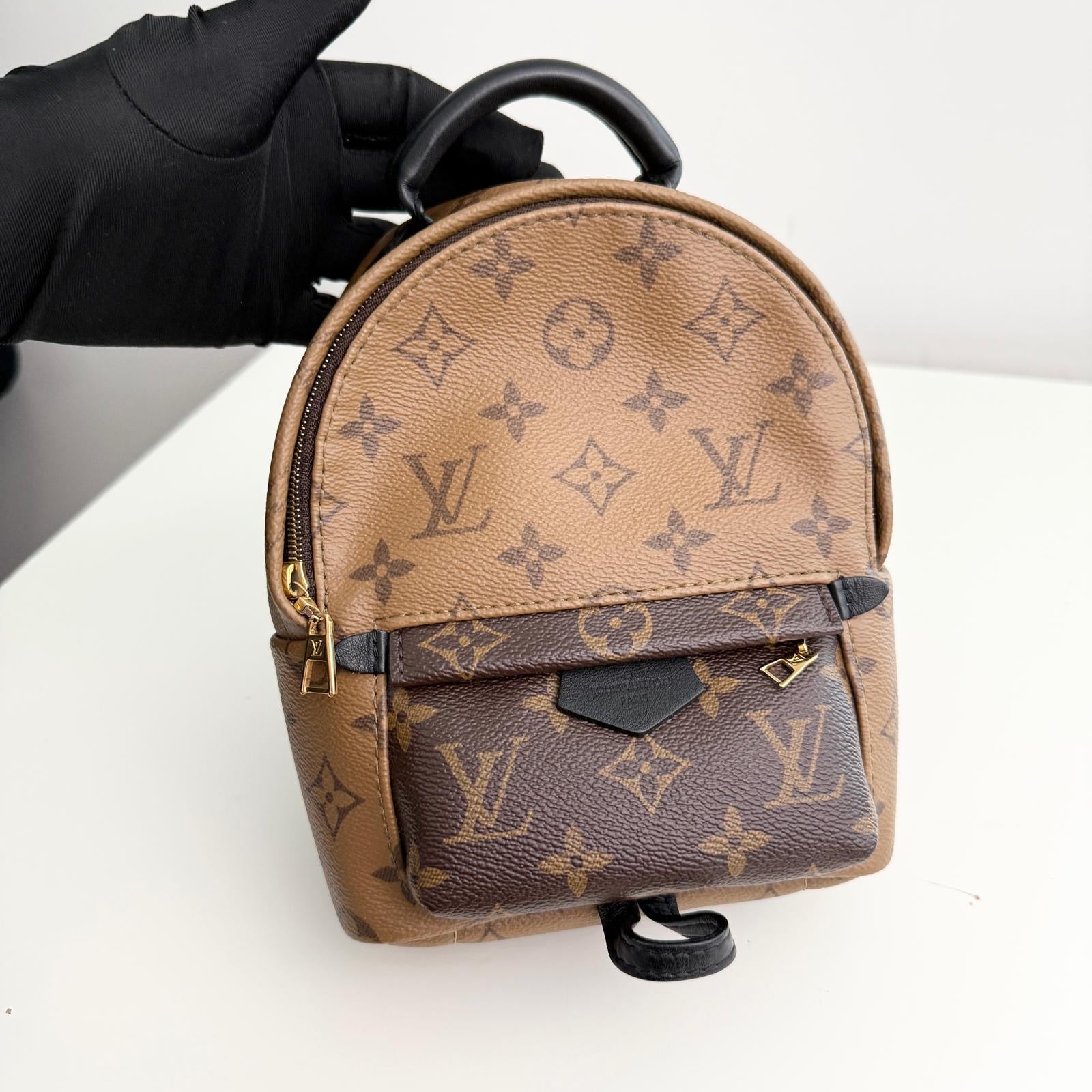 Louis Vuitton Palm Spring Backpack Mini Reverse Monogram