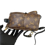 Load image into Gallery viewer, Louis Vuitton LV Palm Springs Mini
