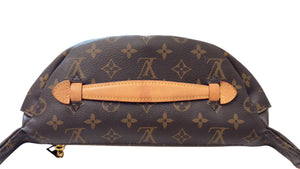 Louis Vuitton Monogram Bumbag