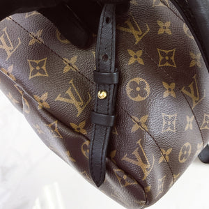 Louis Vuitton Palm Spring MM Monogram Backpack