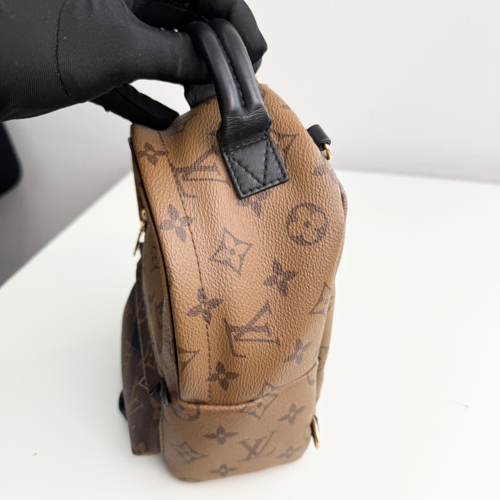 Louis Vuitton Palm Spring Backpack Mini Reverse Monogram