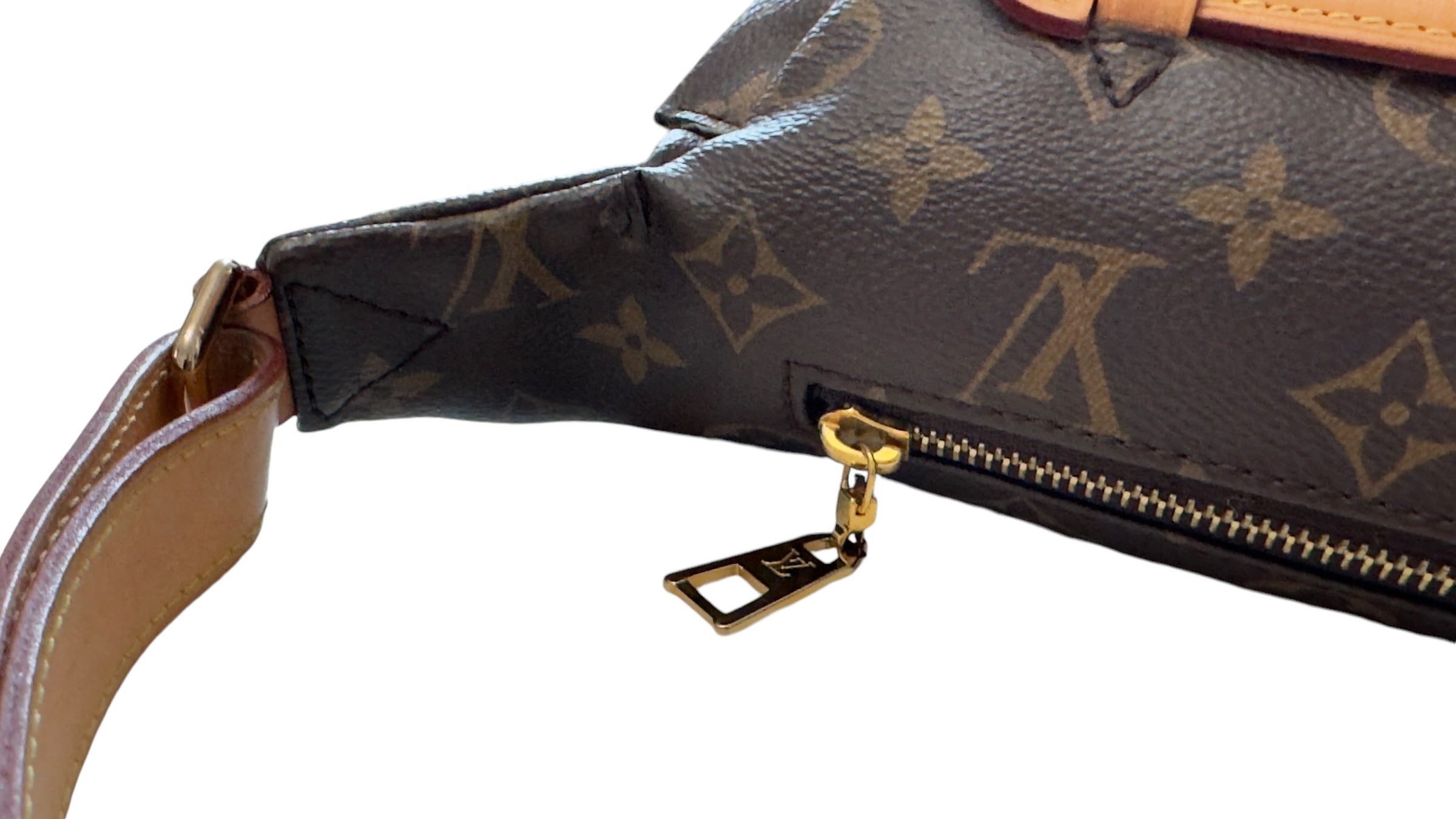 Louis Vuitton Monogram Bumbag