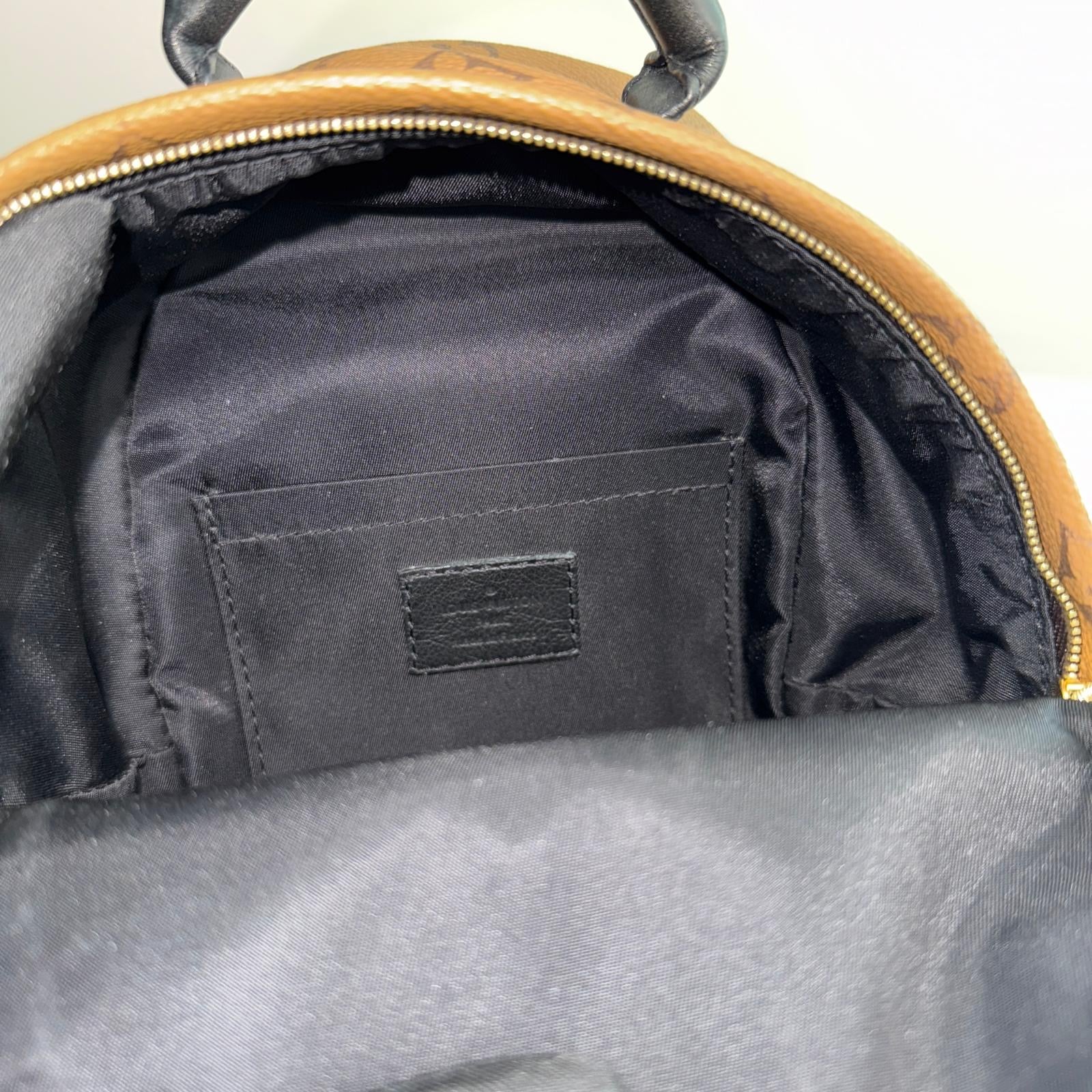 Louis Vuitton Palm Spring Backpack Mini Reverse Monogram