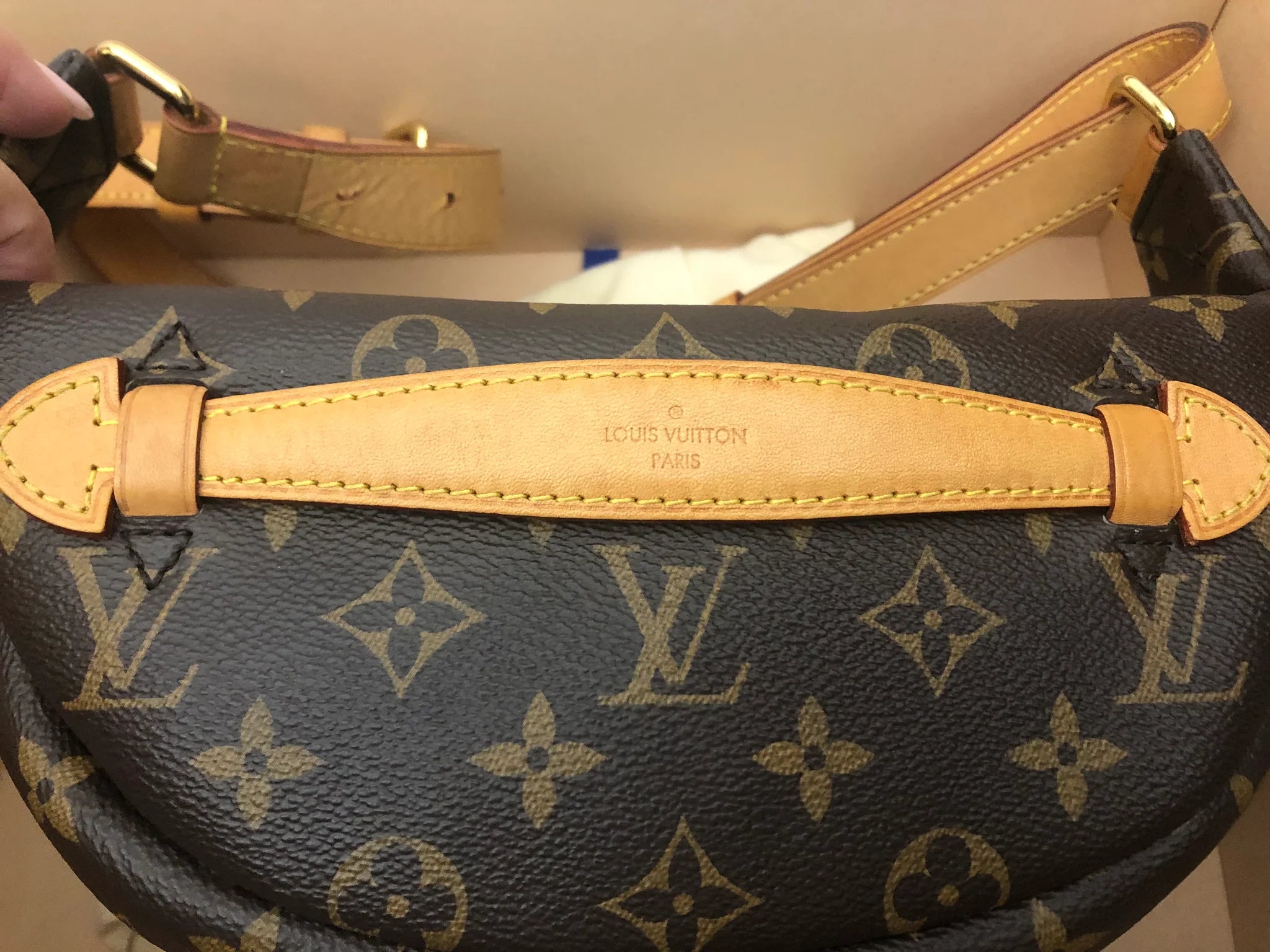 Louis Vuitton Monogram Bumbag