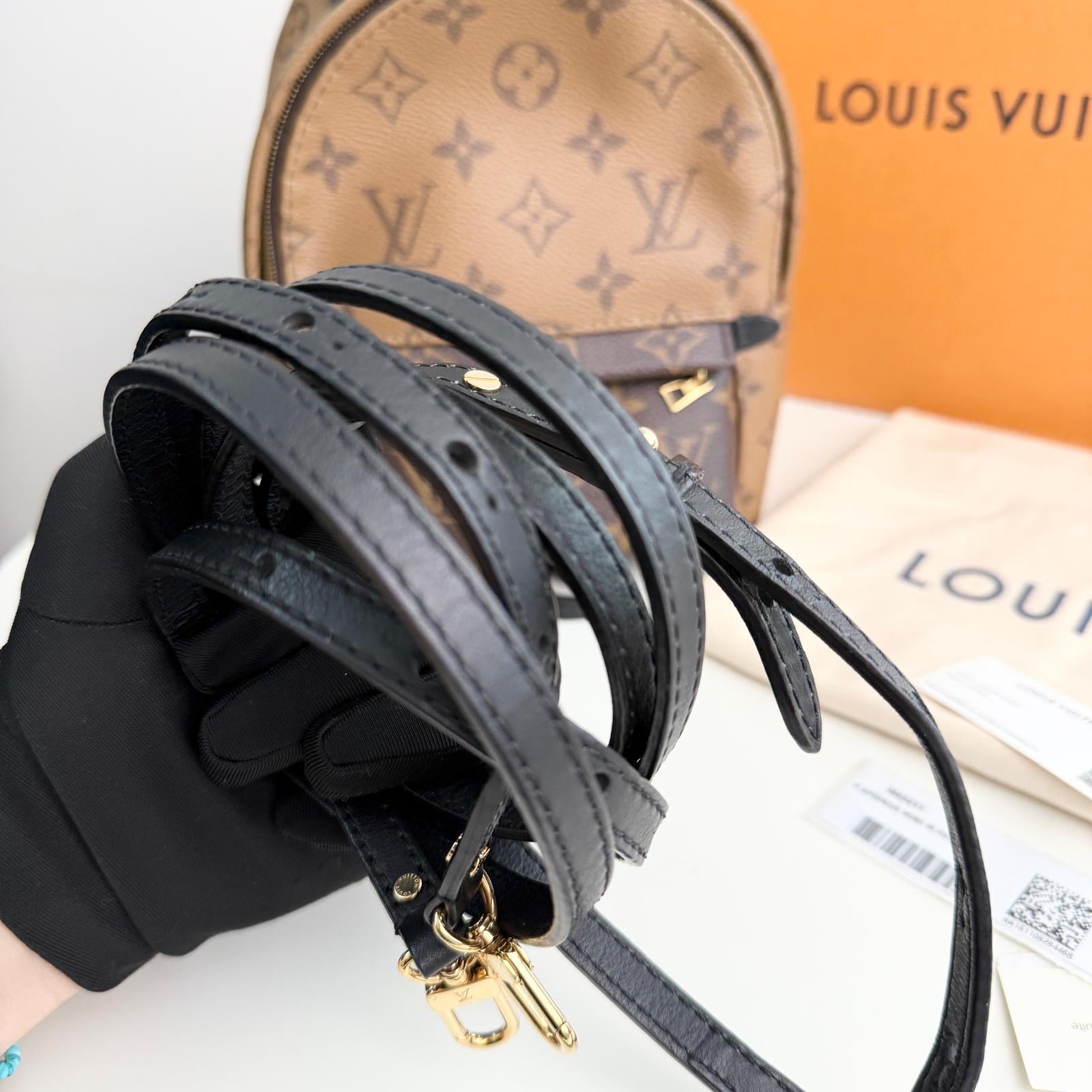 Louis Vuitton Palm Spring Backpack Mini Reverse Monogram