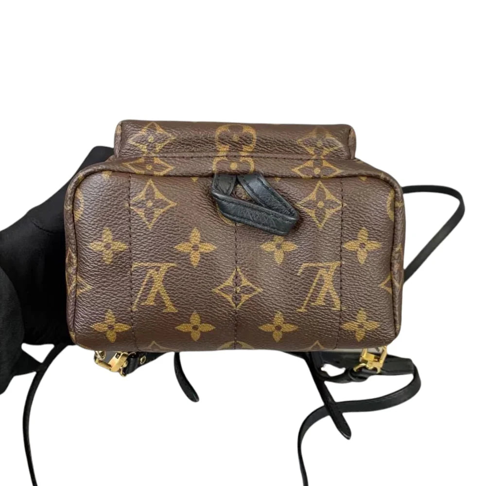 Louis Vuitton LV Palm Springs Mini