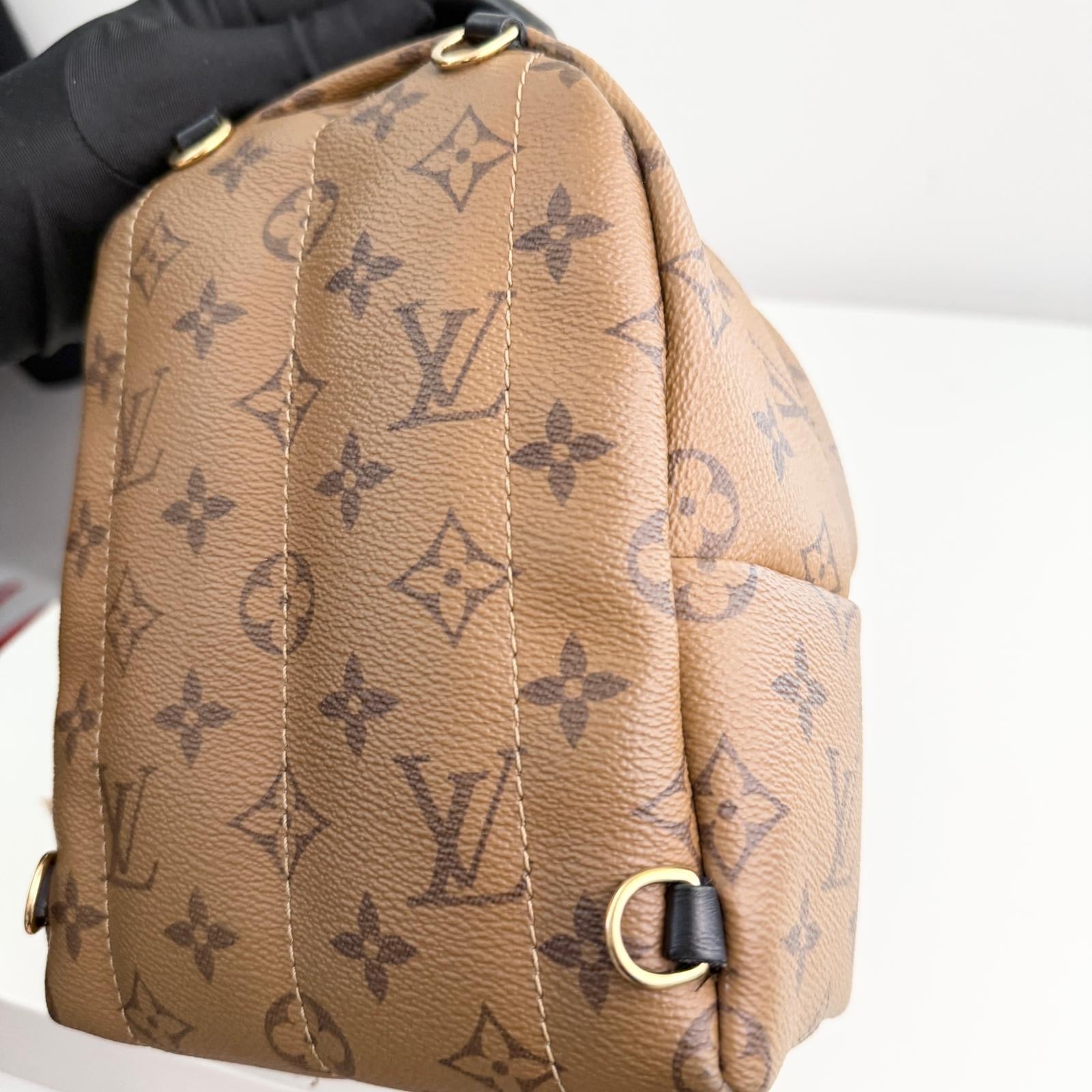 Louis Vuitton Palm Spring Backpack Mini Reverse Monogram