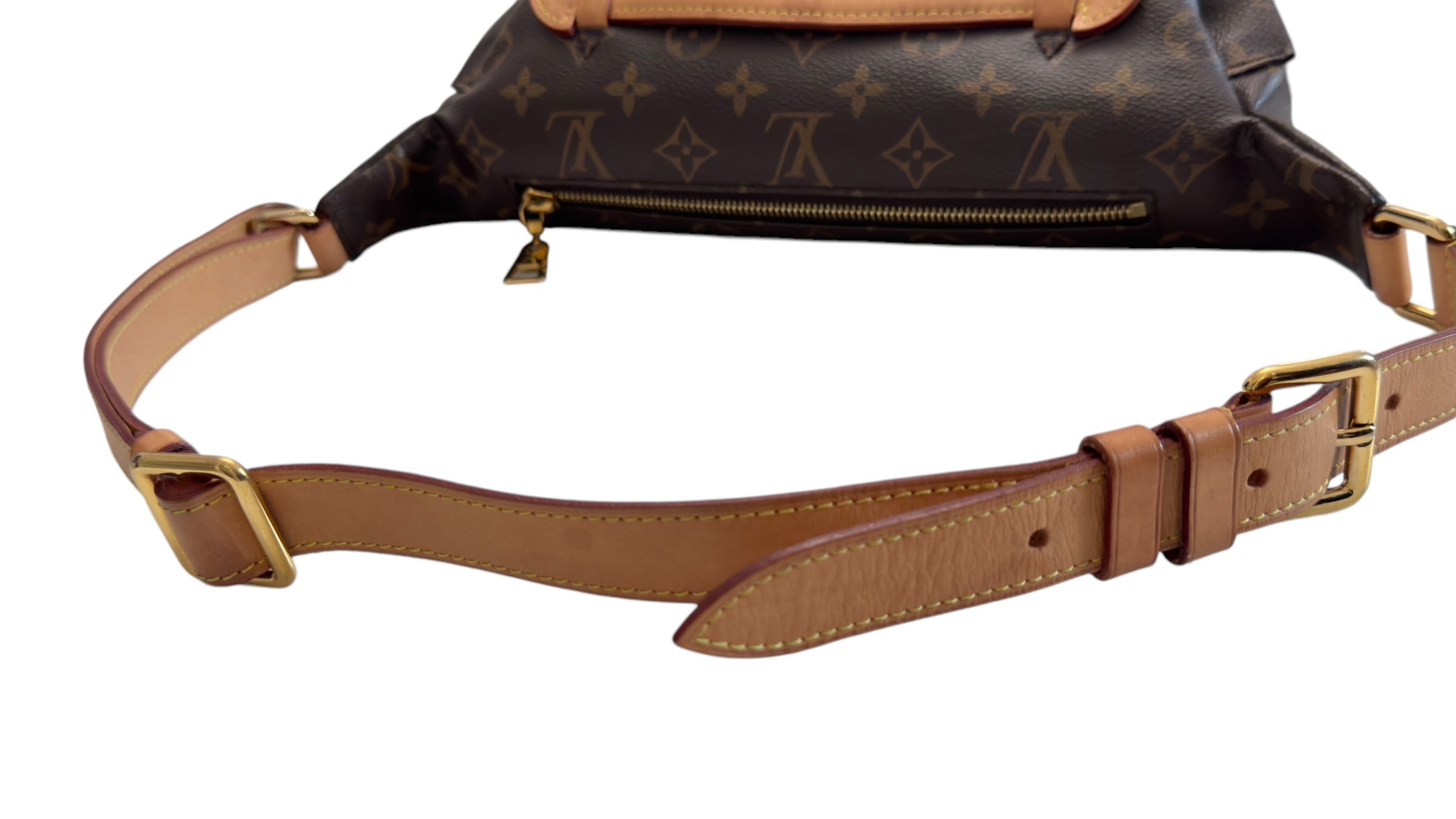 Louis Vuitton Monogram Bumbag