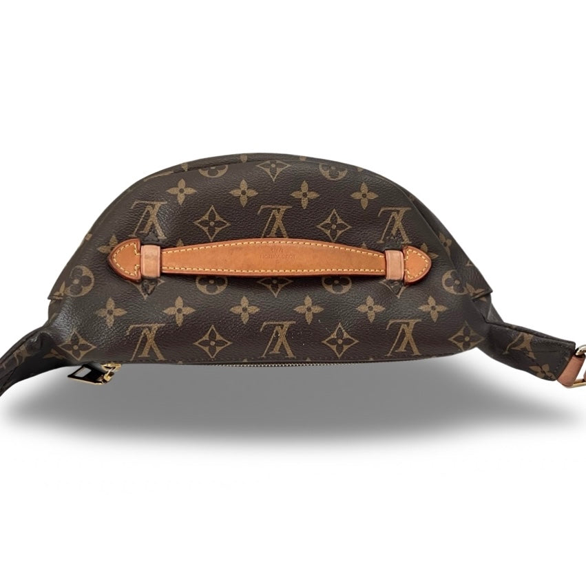 Louis vuitton bumbag