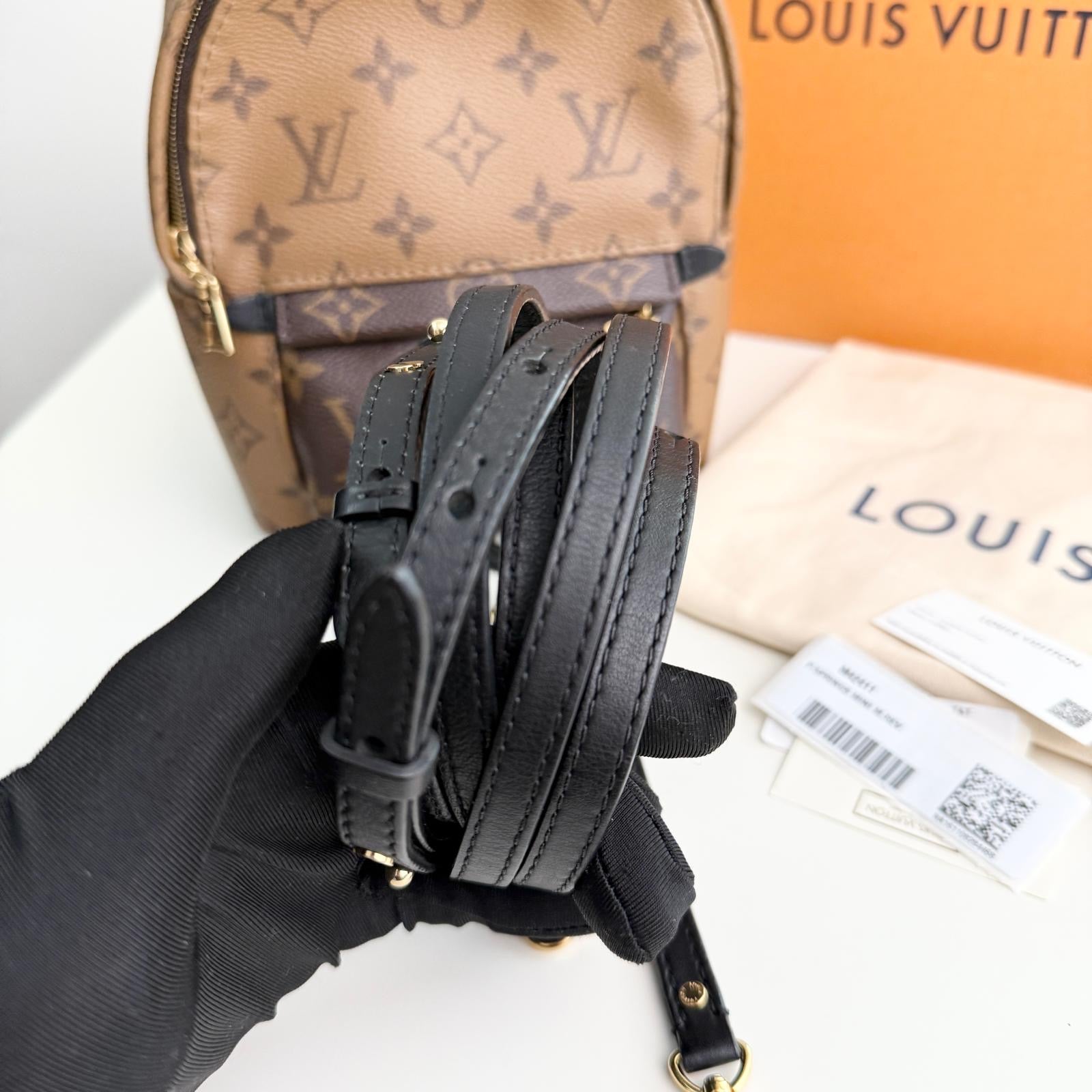 Louis Vuitton Palm Spring Backpack Mini Reverse Monogram