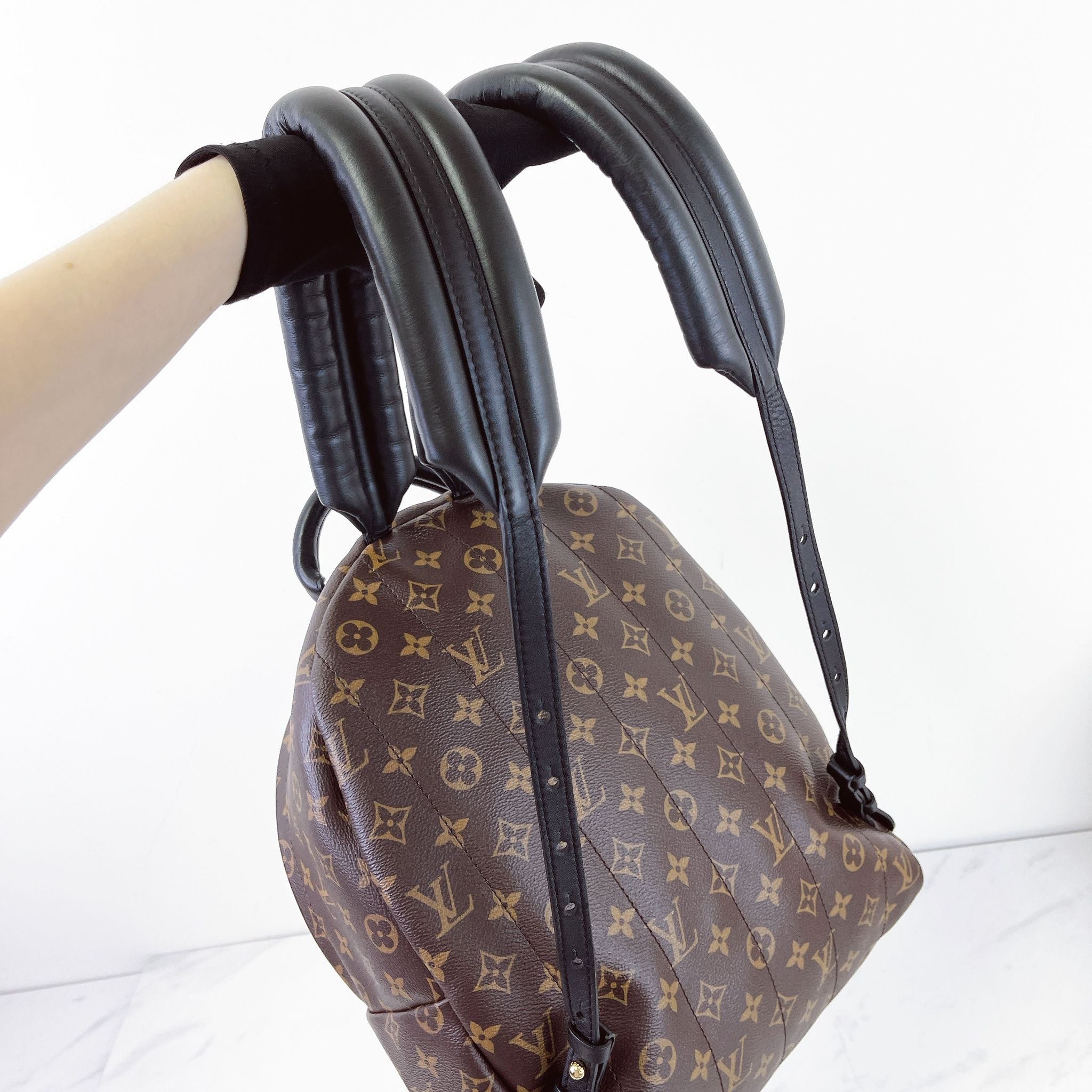 Louis Vuitton Palm Spring MM Monogram Backpack