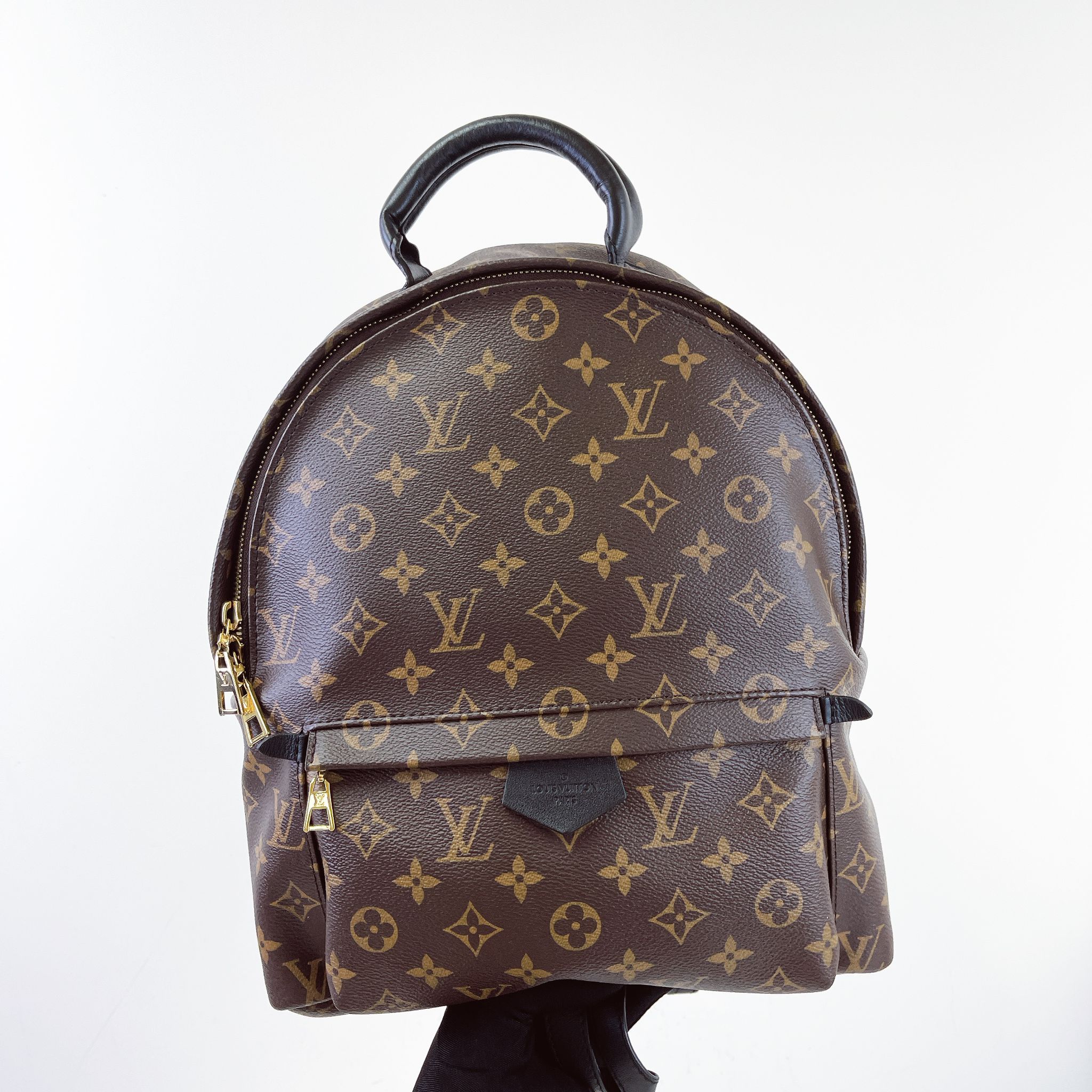 Louis Vuitton Palm Spring MM Monogram Backpack