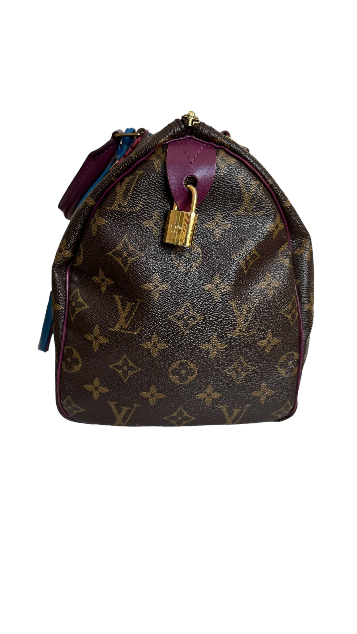 Louis Vuitton LV Speedy 30 Monogram Totem Collection