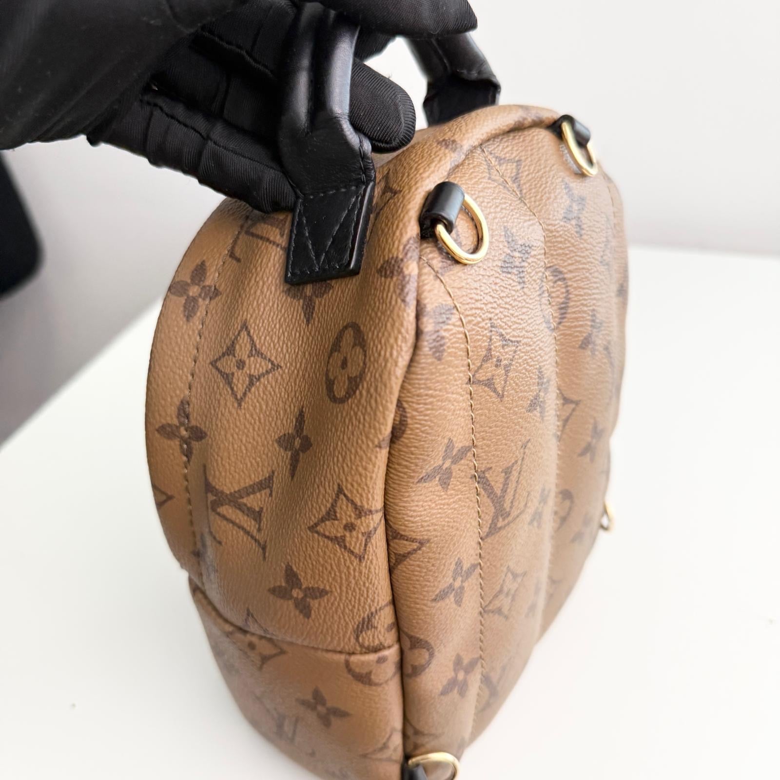 Louis Vuitton Palm Spring Backpack Mini Reverse Monogram
