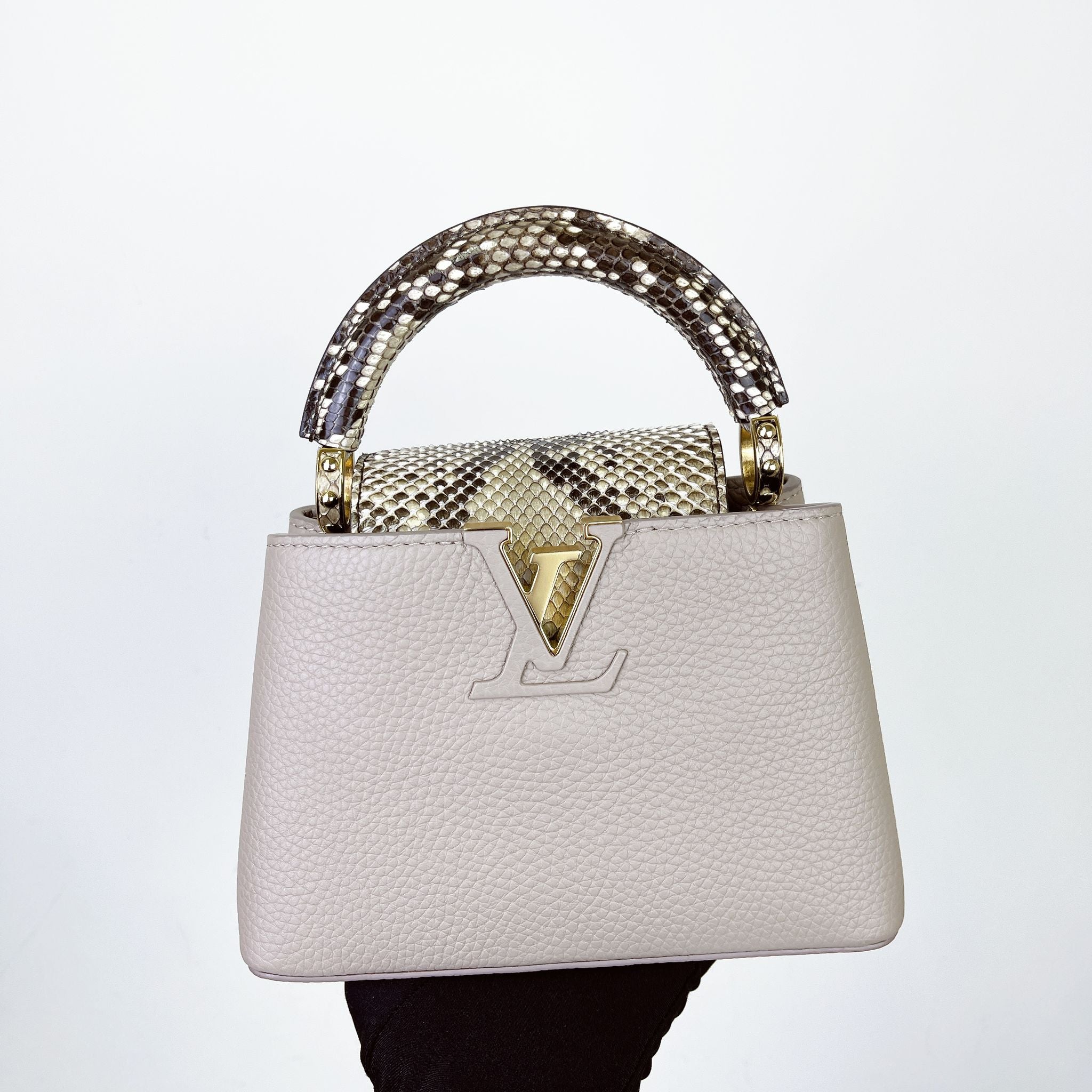 Louis Vuitton Capucine Mini