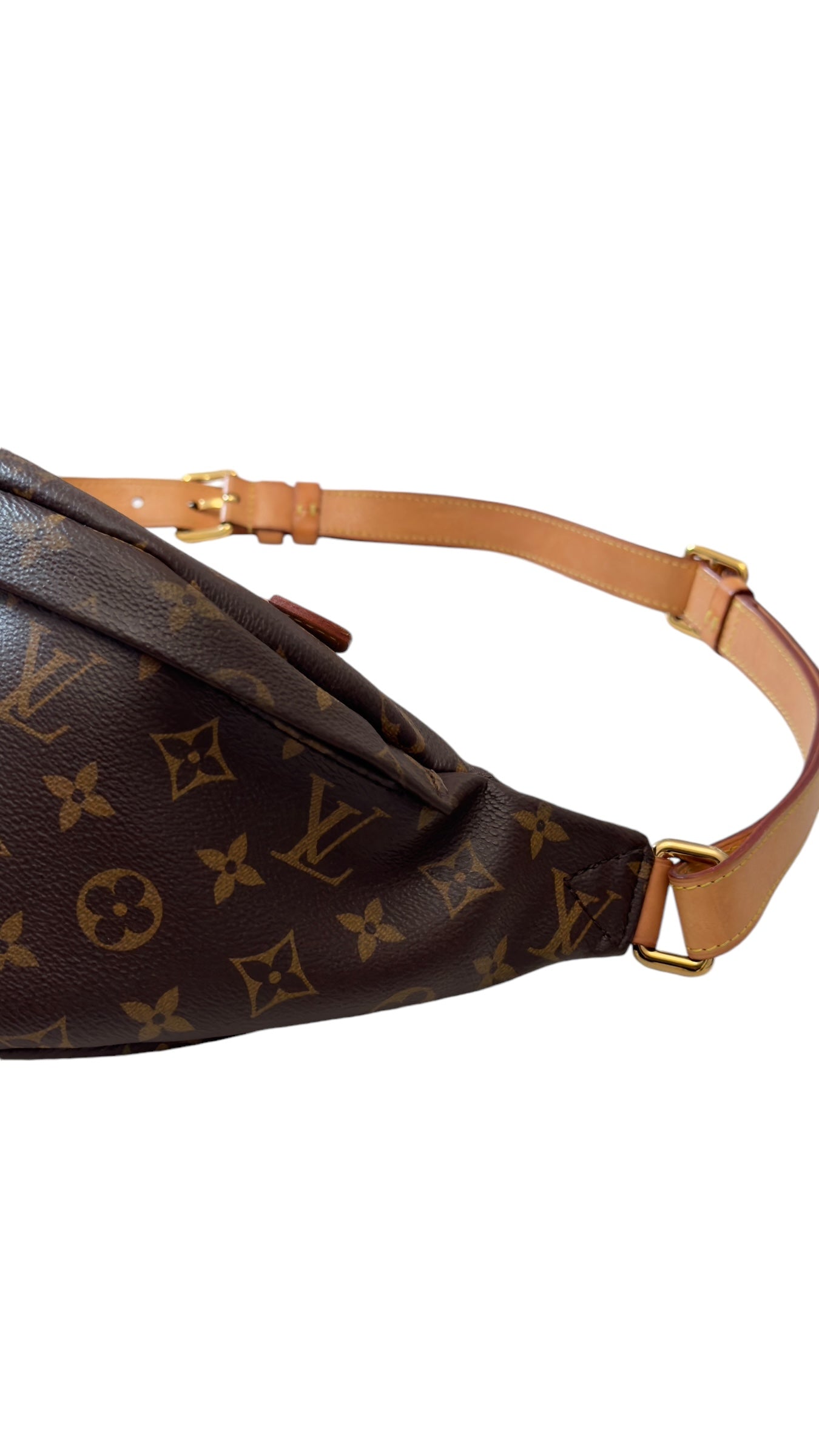 Louis Vuitton Monogram Bumbag