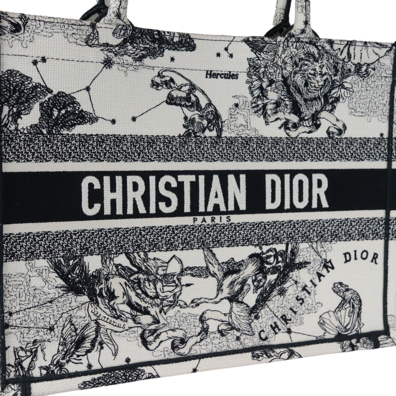 Christian Dior Toile de Jouy Zodiac Book Tote