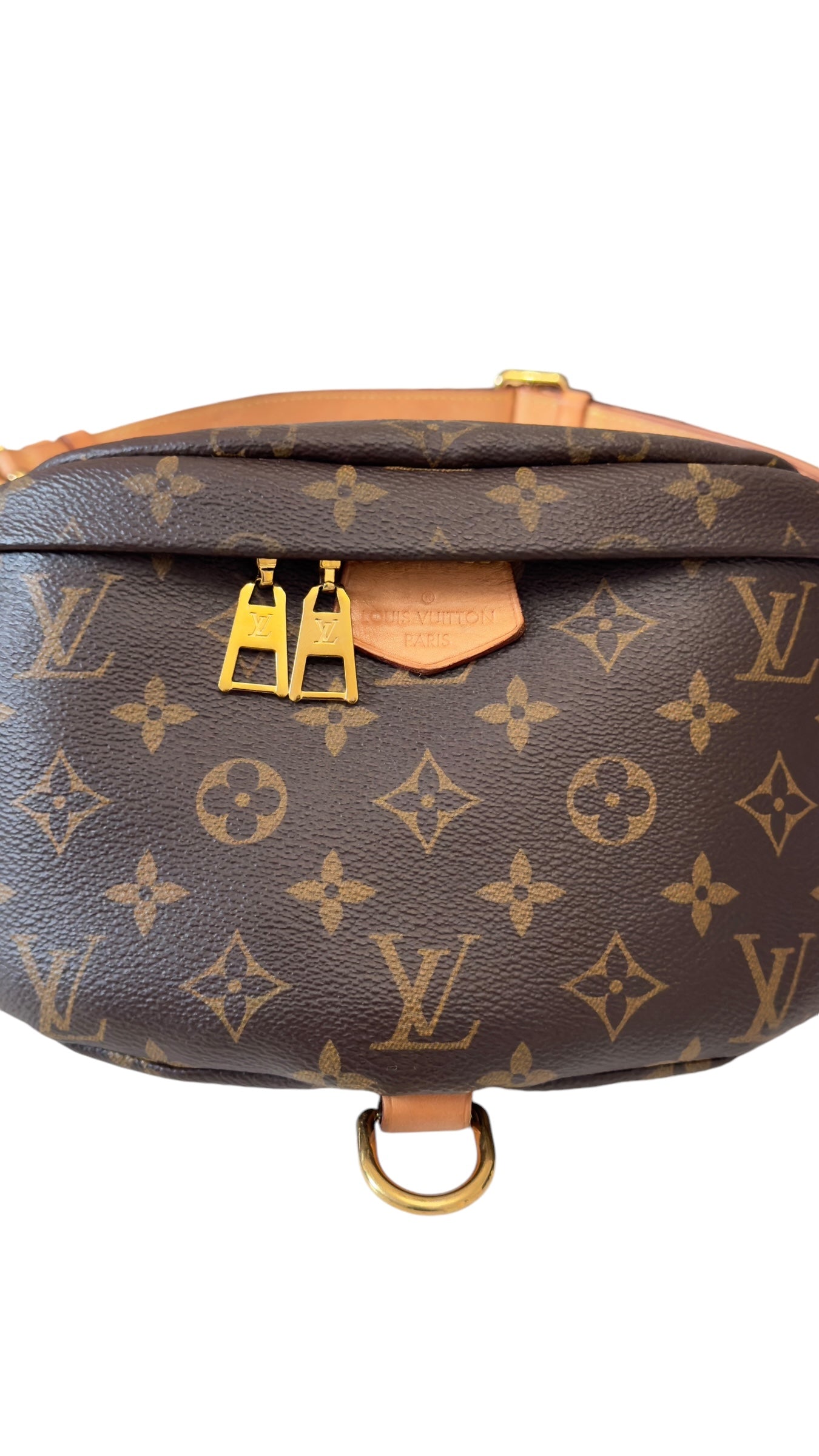 Louis Vuitton Monogram Bumbag