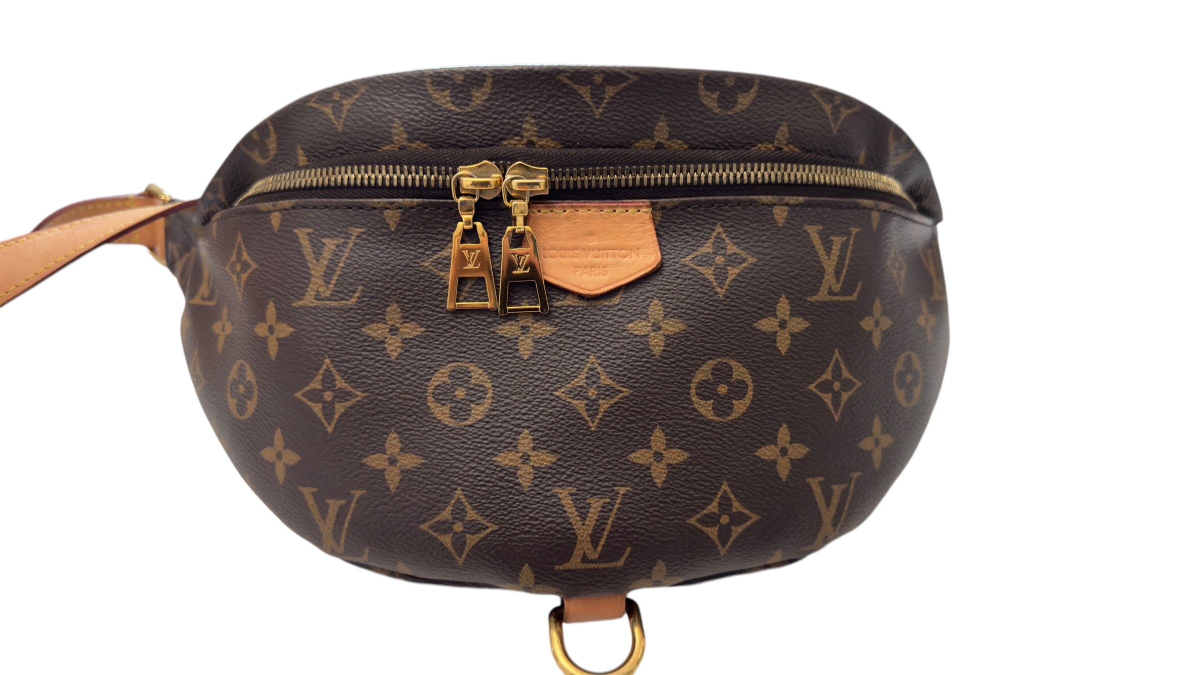 Louis Vuitton Monogram Bumbag