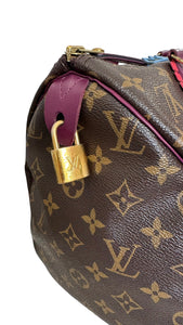 Louis Vuitton LV Speedy 30 Monogram Totem Collection