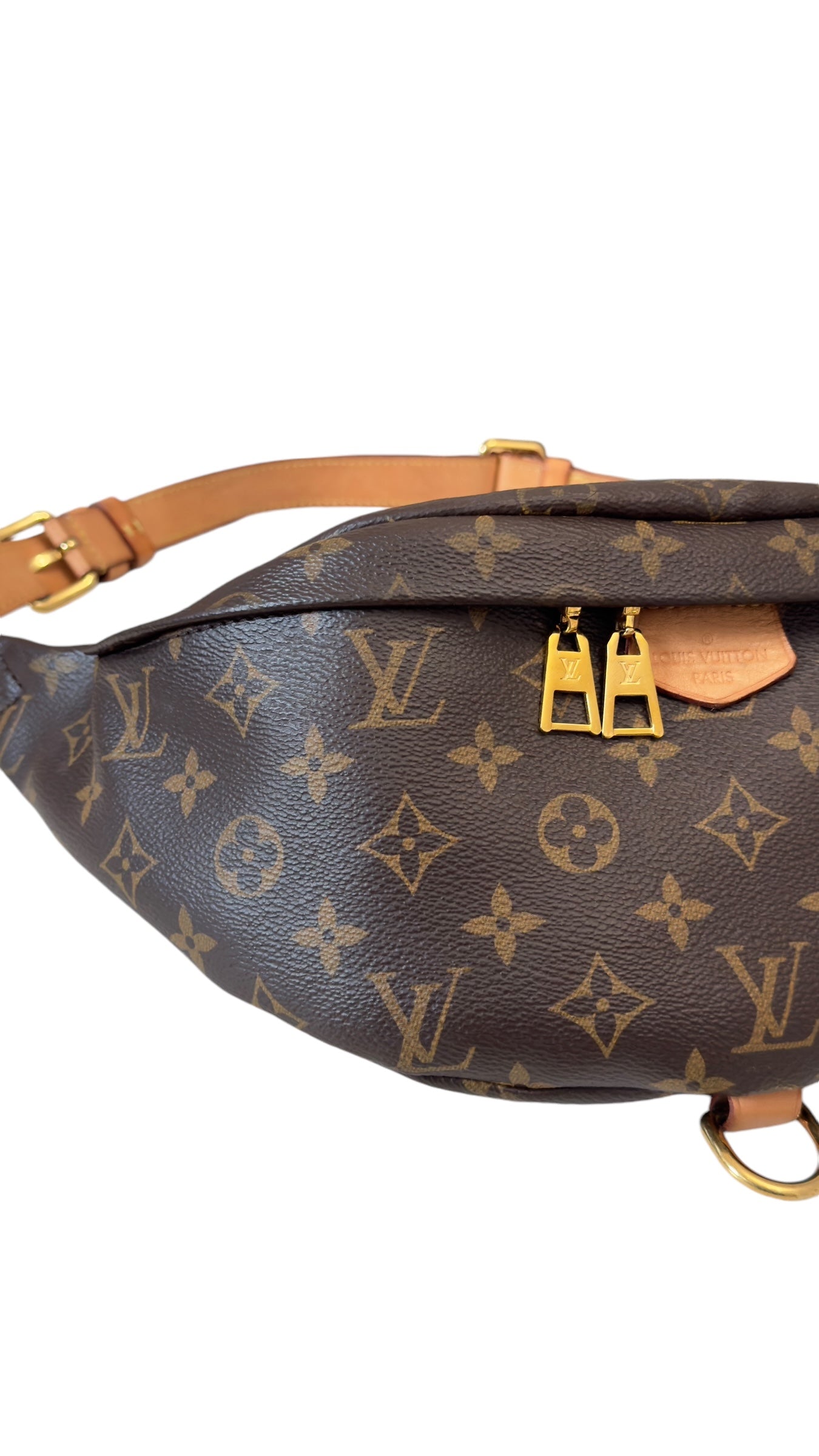 Louis Vuitton Monogram Bumbag