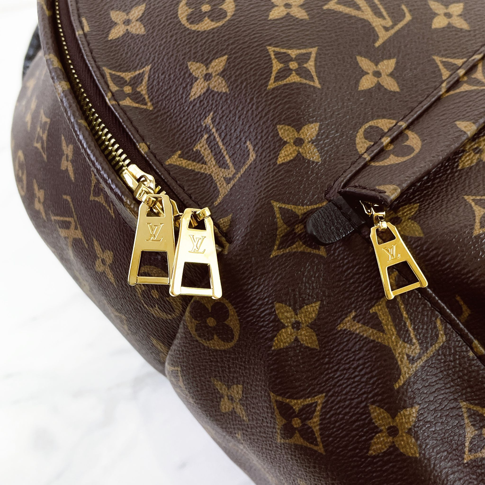 Louis Vuitton Palm Spring MM Monogram Backpack